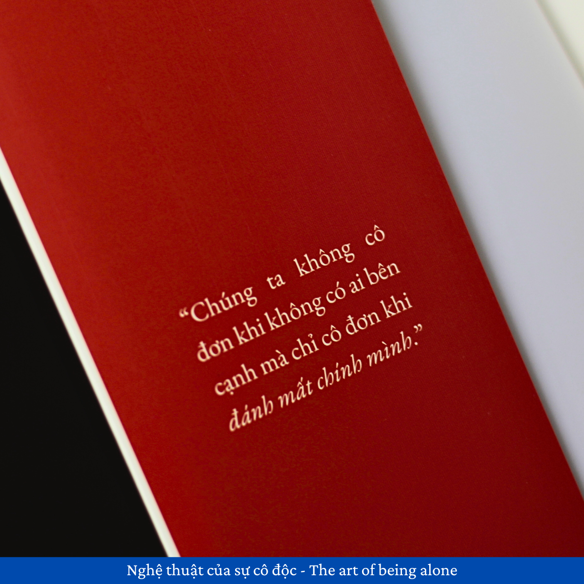 Nghệ Thuật Của Sự Cô Độc - The Art Of Being Alone - Ảnh 5