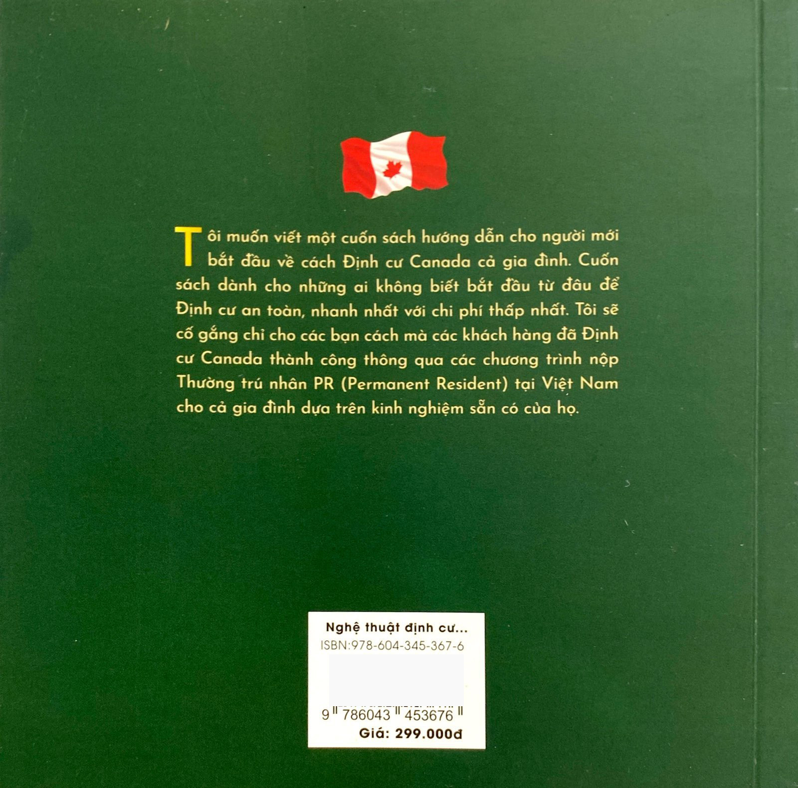 nghệ thuật định cư canada - Ảnh 8