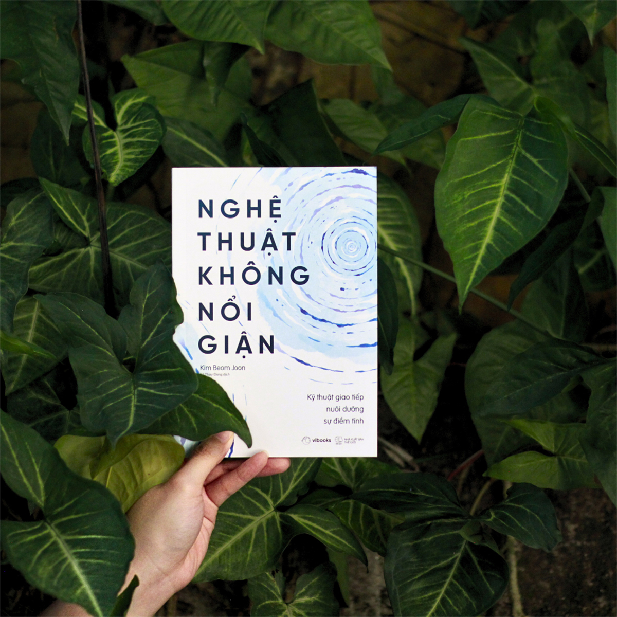 nghệ thuật không nổi giận - Ảnh 4