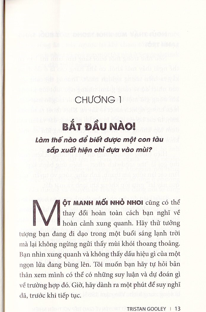 nghệ thuật thất truyền về giao tiếp với thiên nhiên - Ảnh 4