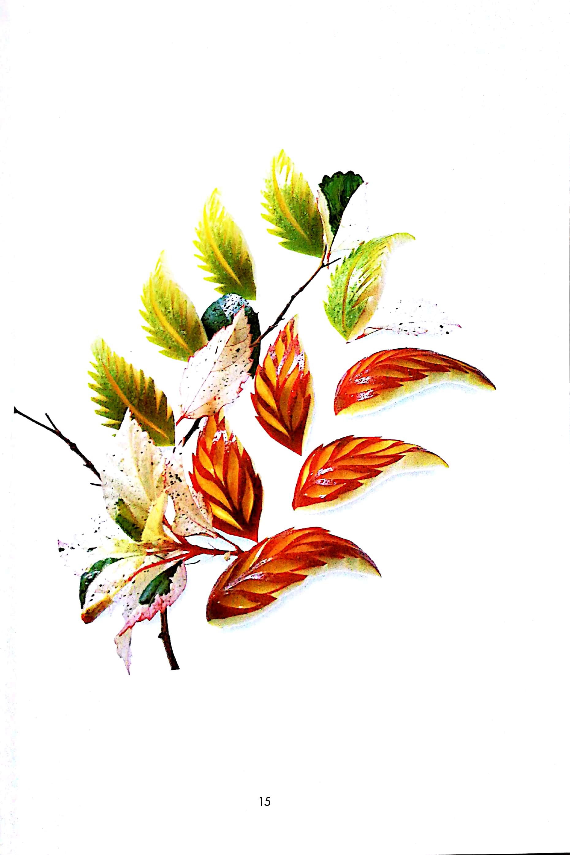 nghệ thuật trang trí & cắt tỉa trái cây - Ảnh 5