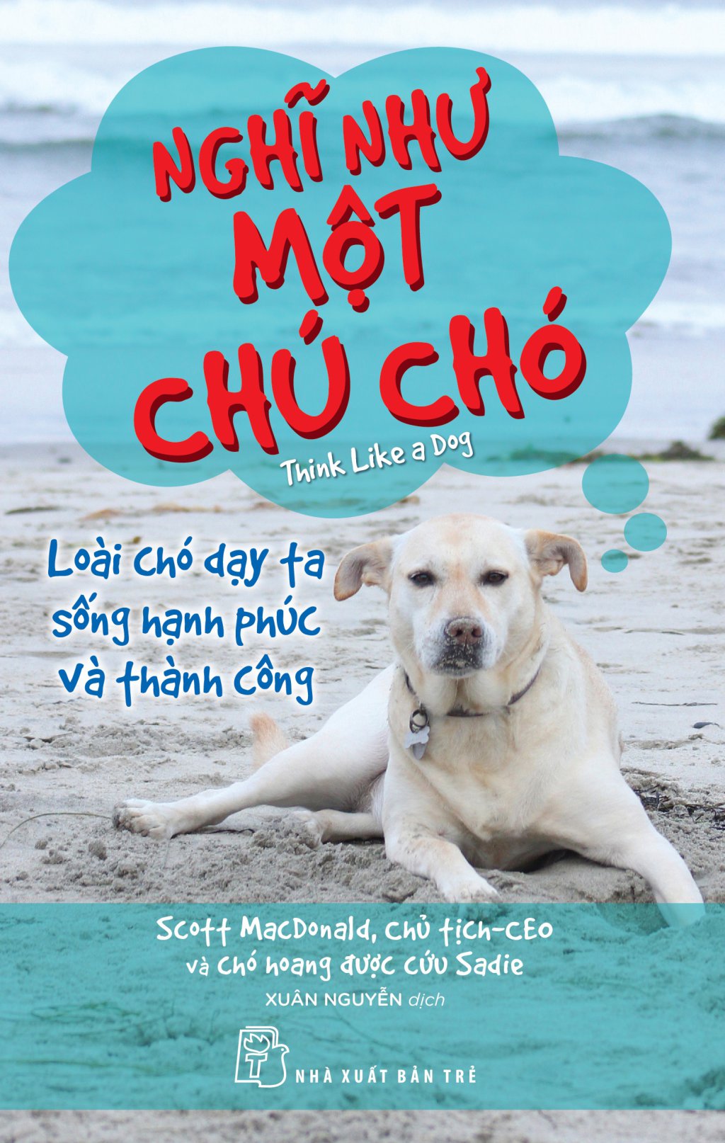 nghĩ như một chú chó - loài chó dạy ta sống hạnh phúc và thành công - Ảnh 2