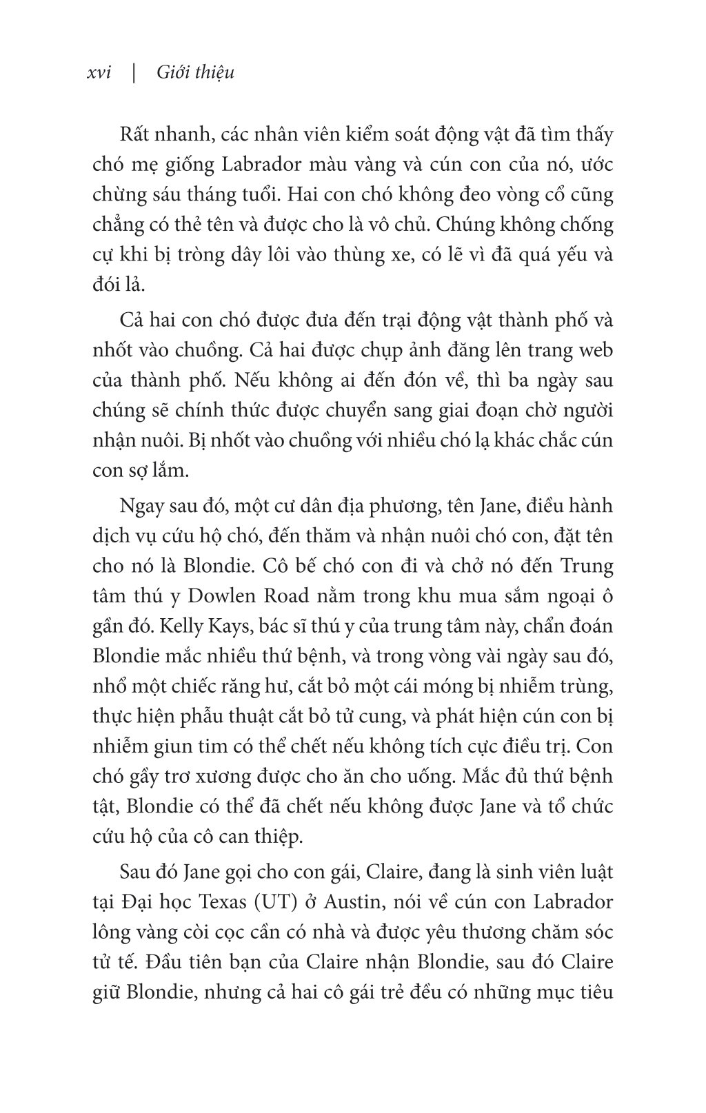 nghĩ như một chú chó - loài chó dạy ta sống hạnh phúc và thành công - Ảnh 7