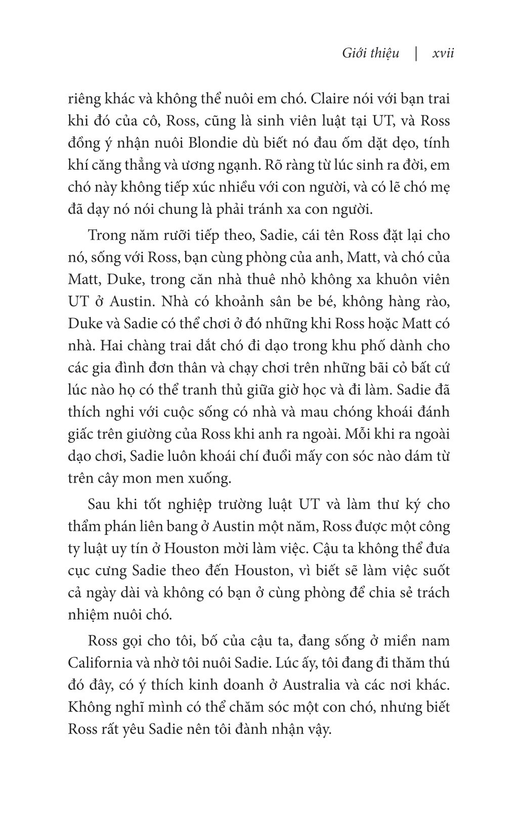 nghĩ như một chú chó - loài chó dạy ta sống hạnh phúc và thành công - Ảnh 8