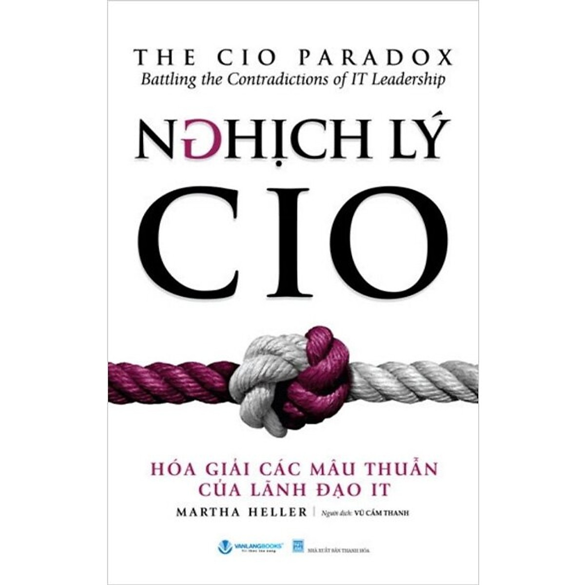 nghịch lý cio - hóa giải các mâu thuẫn của lãnh đạo it - Ảnh 2