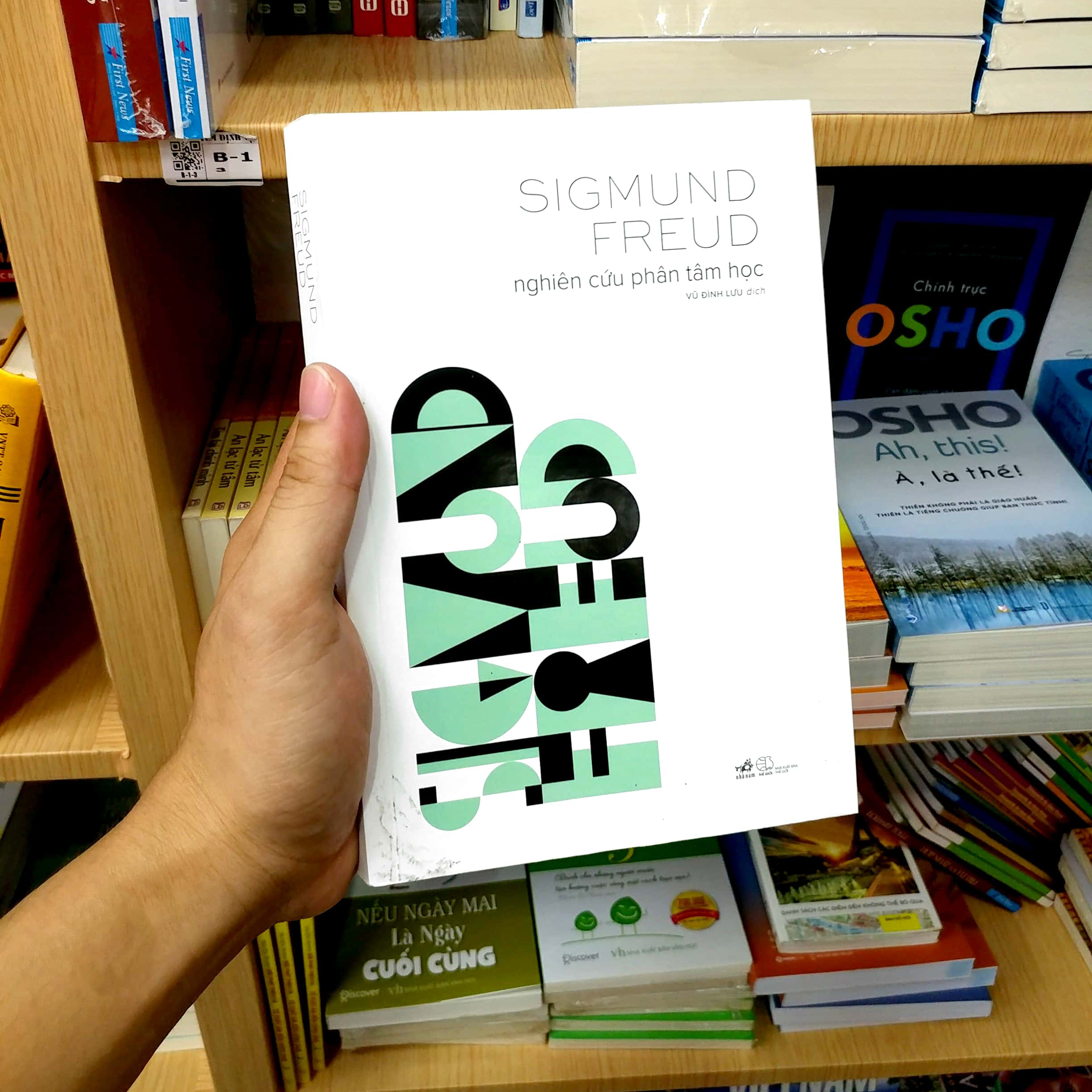 nghiên cứu phân tâm học - Ảnh 8