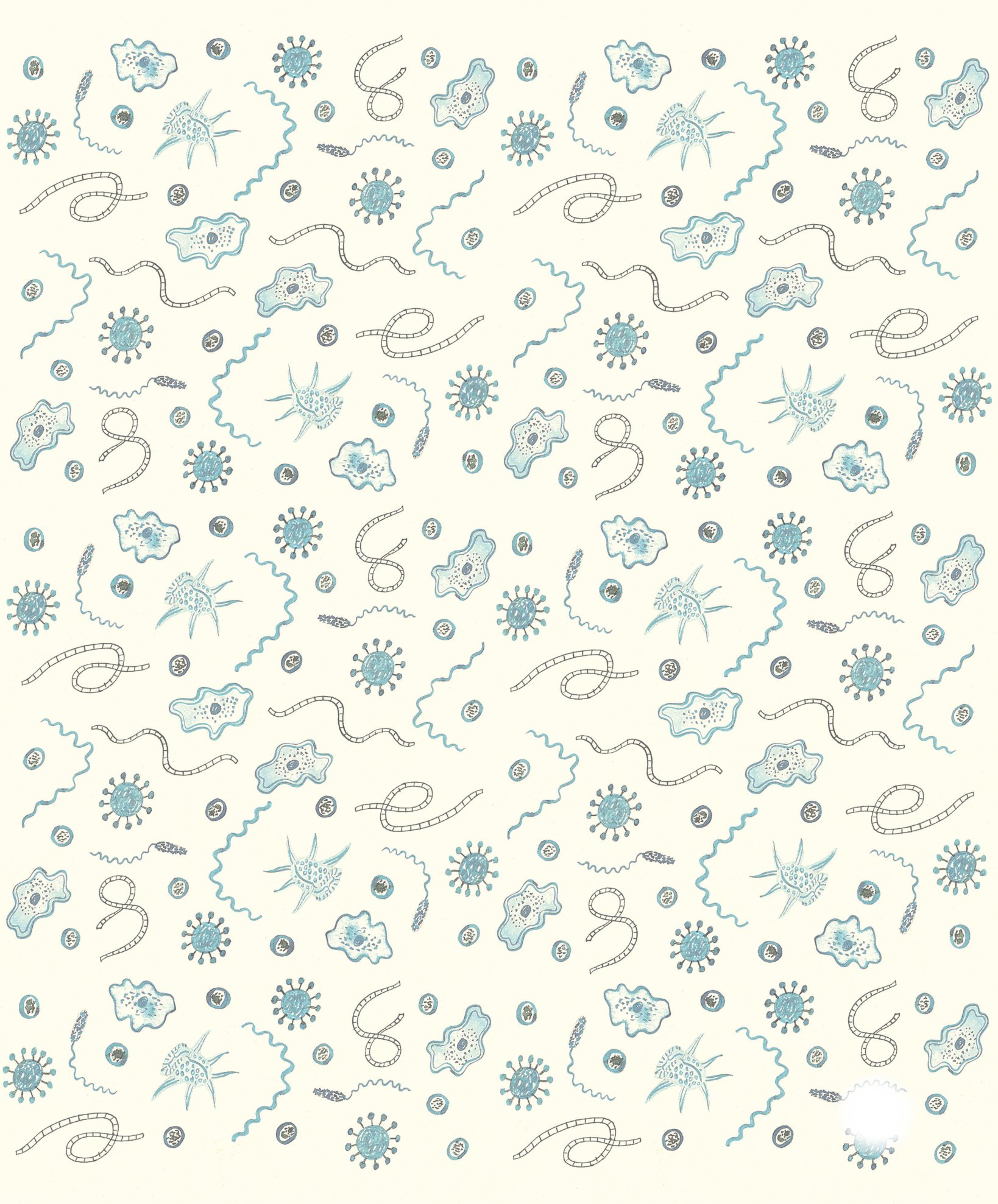 ngỡ ngàng khám phá - bé tí ti - thế giới vô hình của vi sinh vật - Ảnh 2