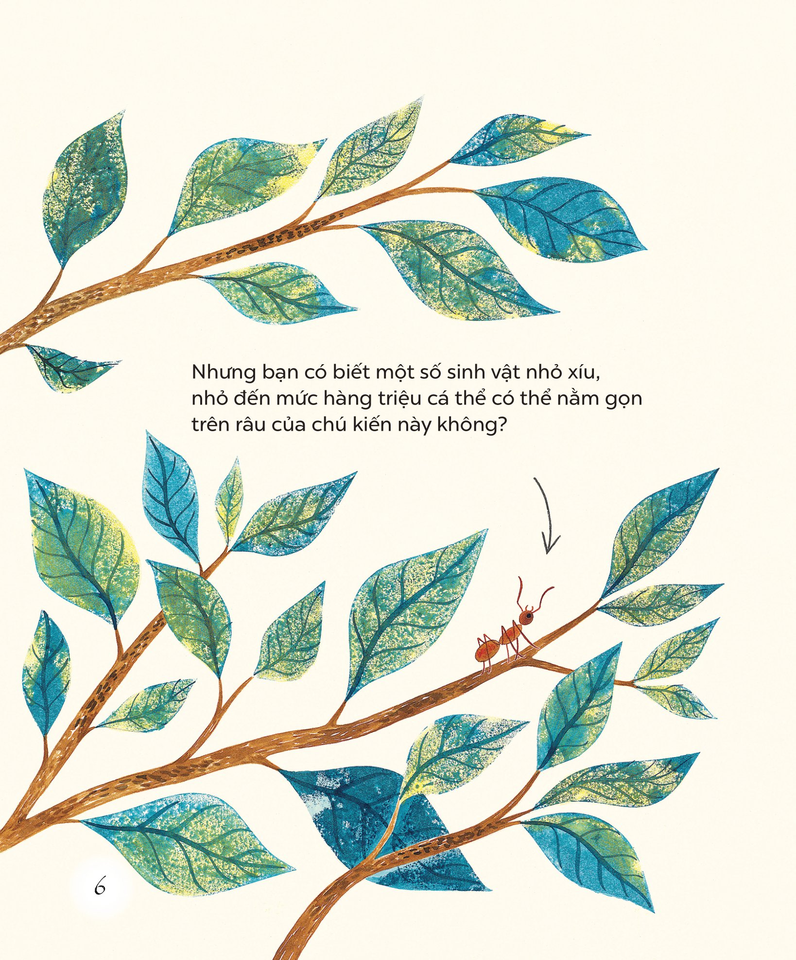 ngỡ ngàng khám phá - bé tí ti - thế giới vô hình của vi sinh vật - Ảnh 7