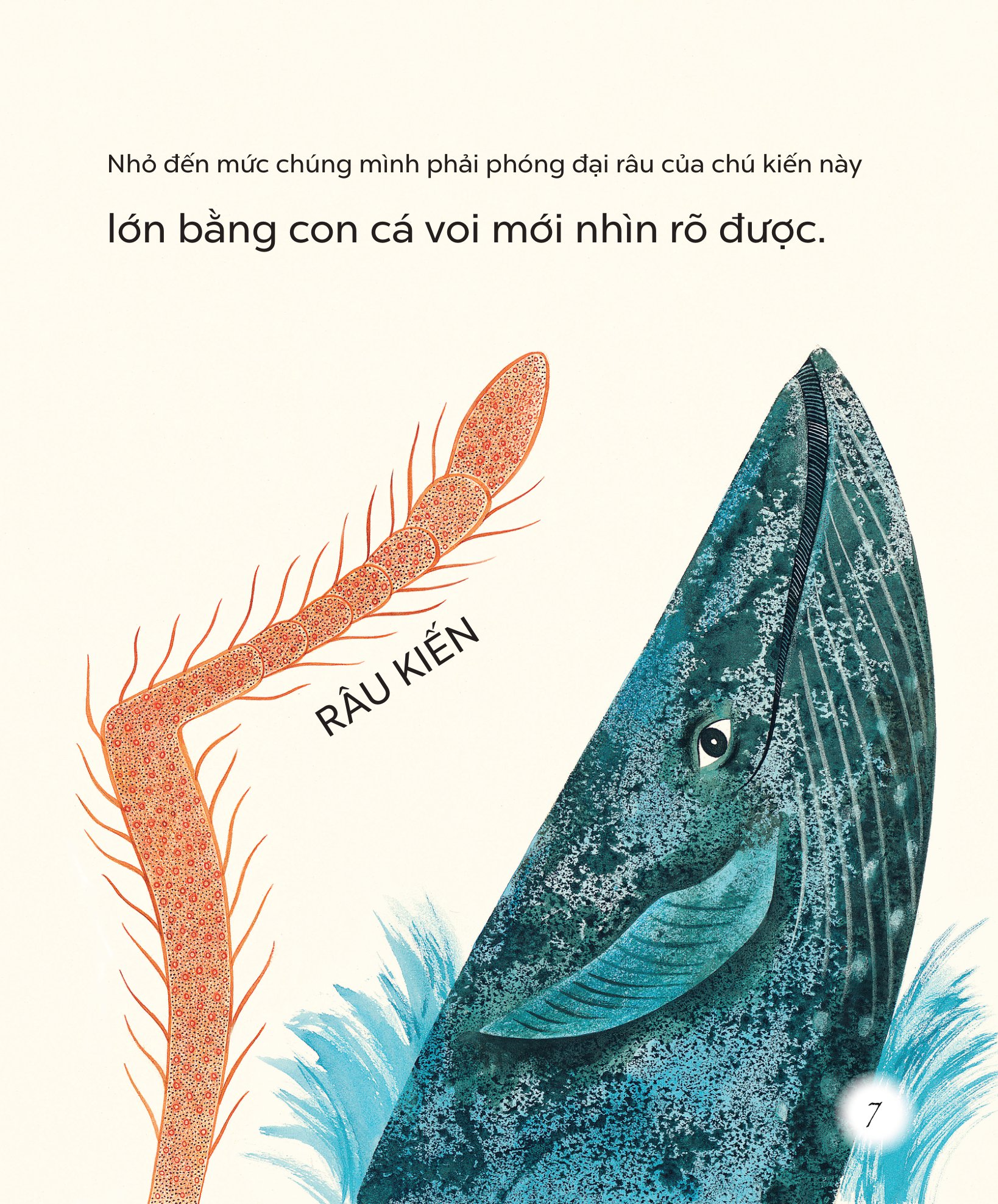 ngỡ ngàng khám phá - bé tí ti - thế giới vô hình của vi sinh vật - Ảnh 8