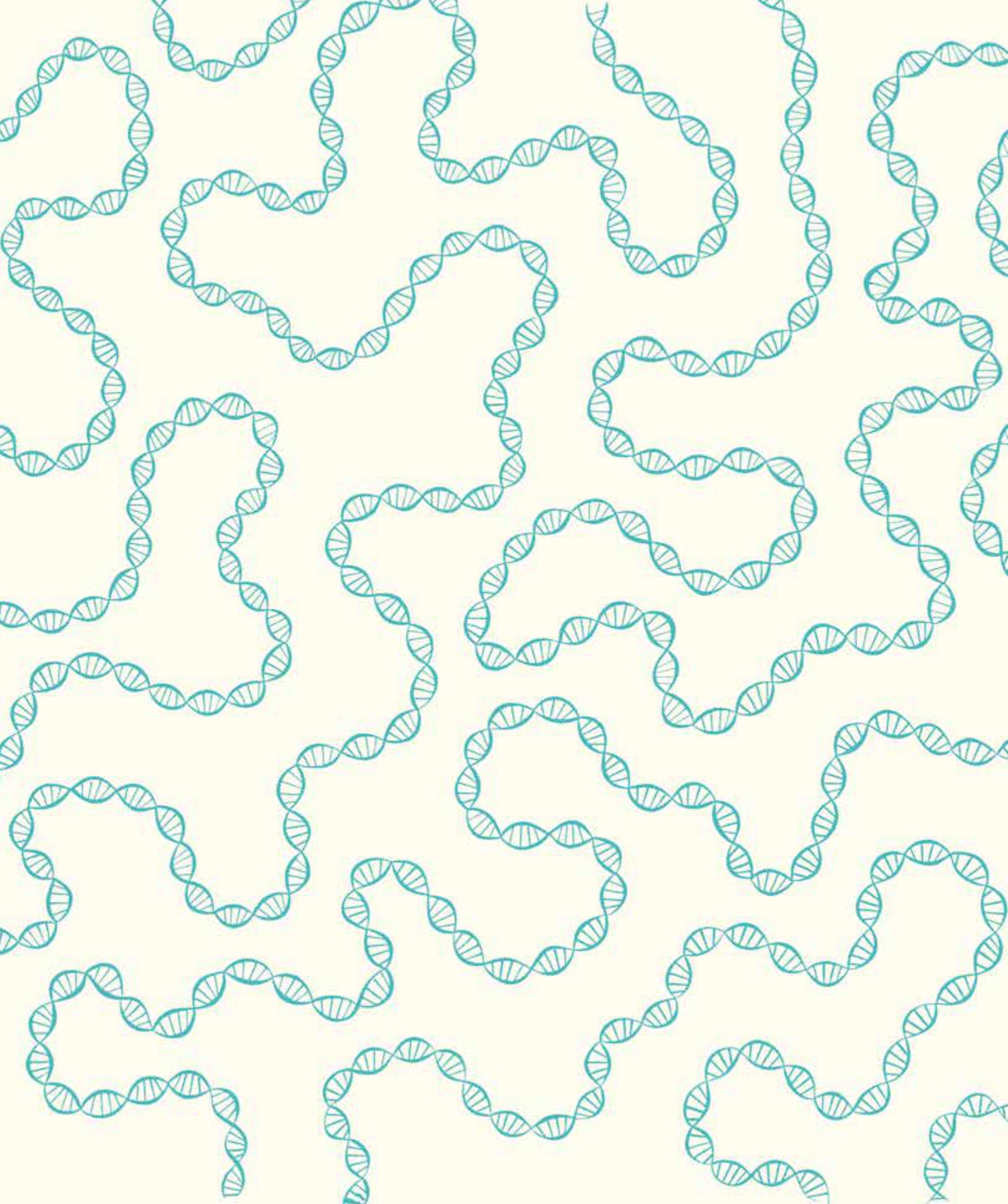 ngỡ ngàng khám phá - phát triển - bí mật của adn - Ảnh 2