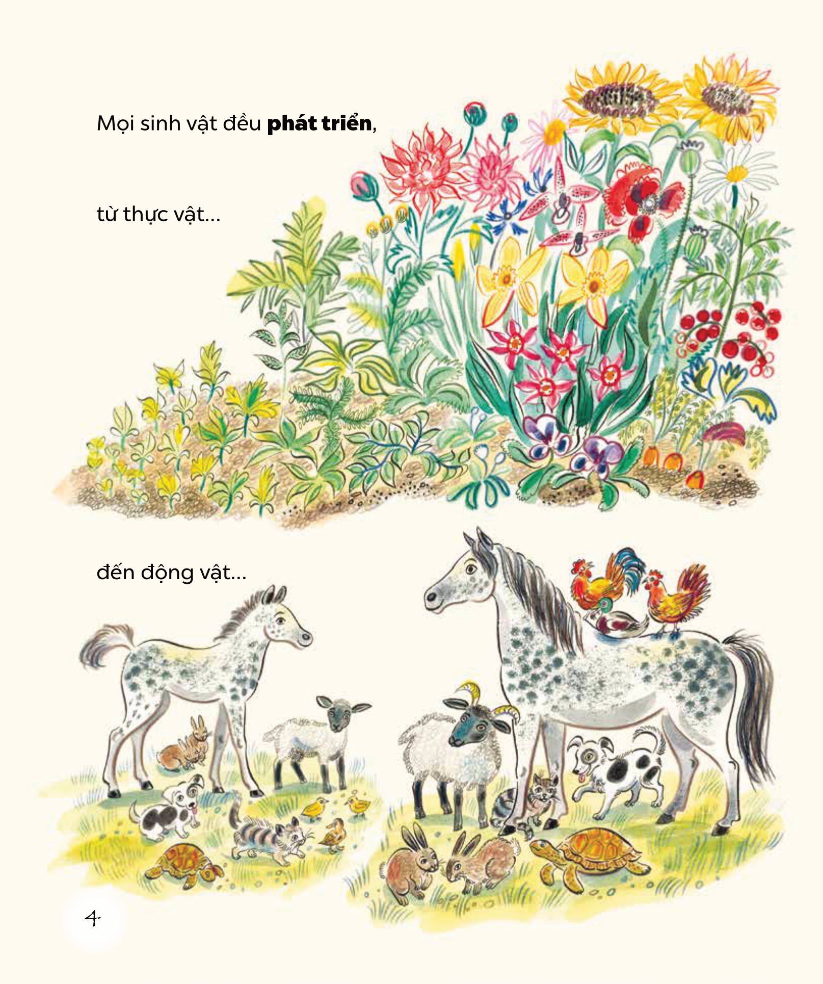 ngỡ ngàng khám phá - phát triển - bí mật của adn - Ảnh 5