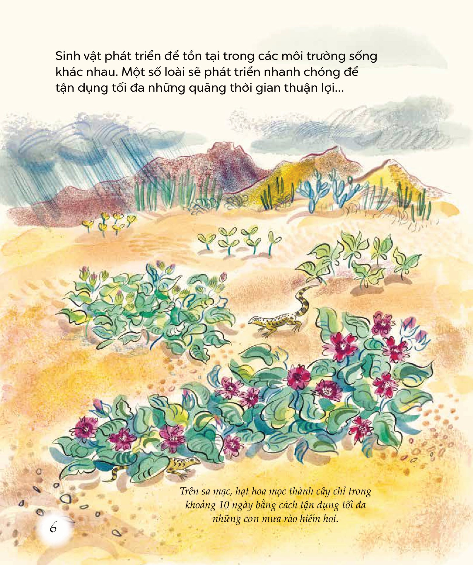 ngỡ ngàng khám phá - phát triển - bí mật của adn - Ảnh 7