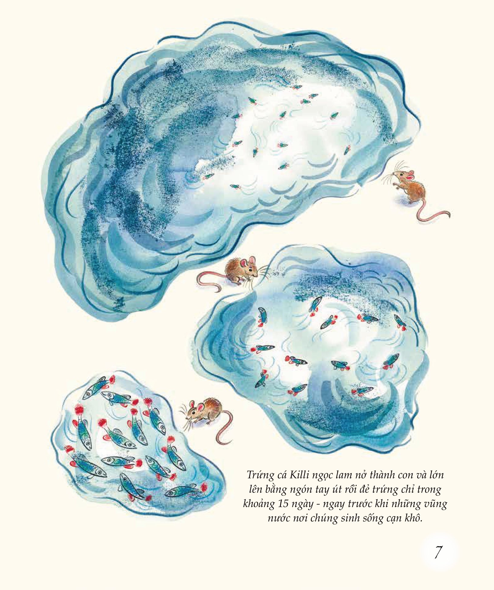 ngỡ ngàng khám phá - phát triển - bí mật của adn - Ảnh 8