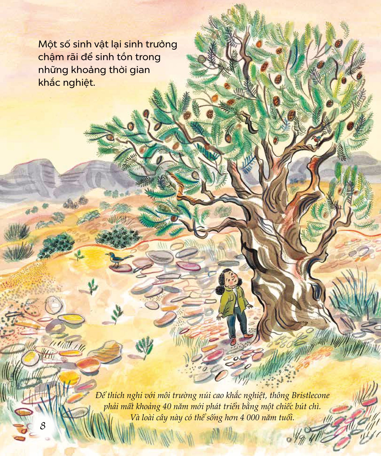 ngỡ ngàng khám phá - phát triển - bí mật của adn - Ảnh 9