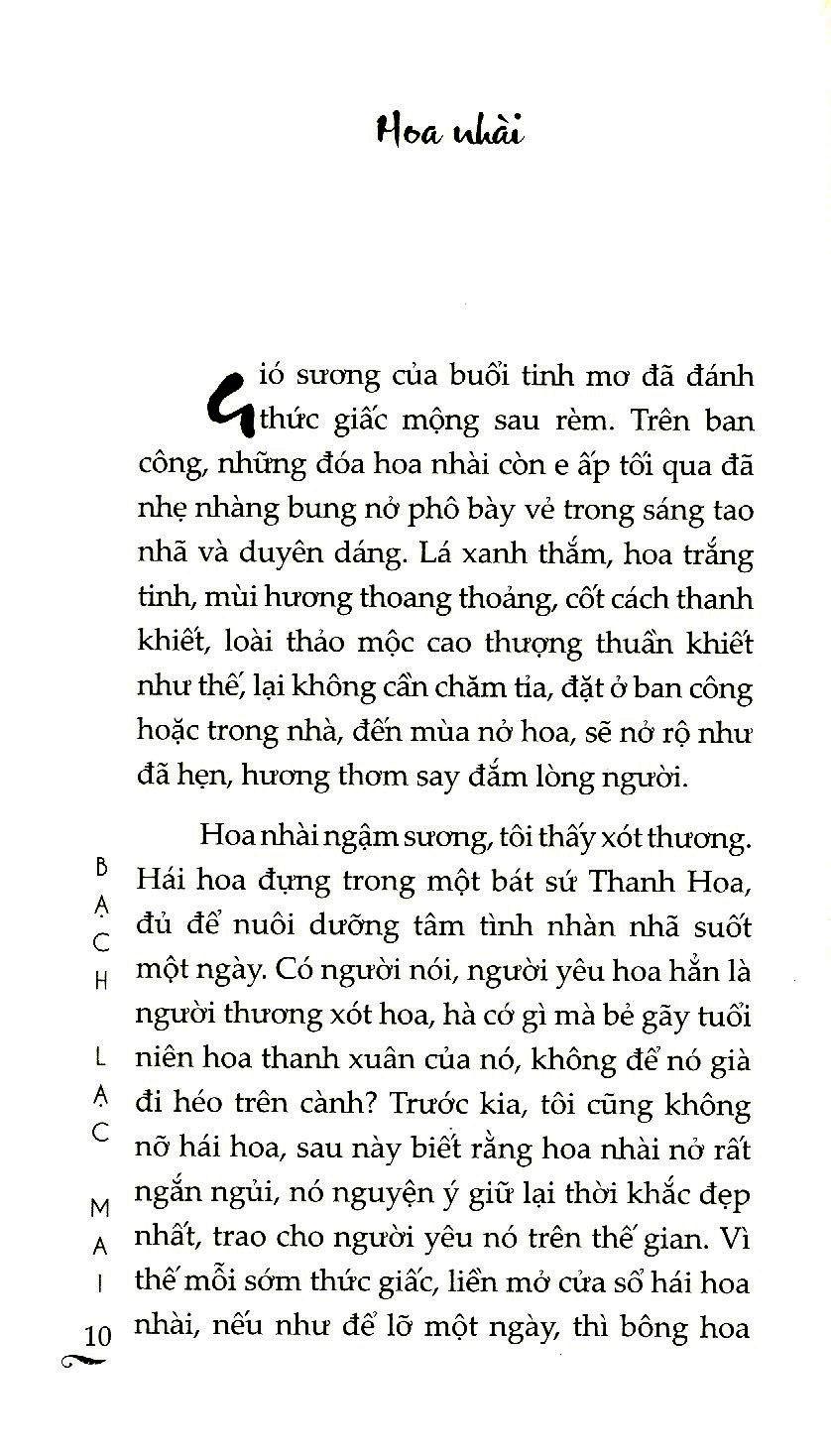 ngoảnh lại đã một đời - bìa cứng - Ảnh 5