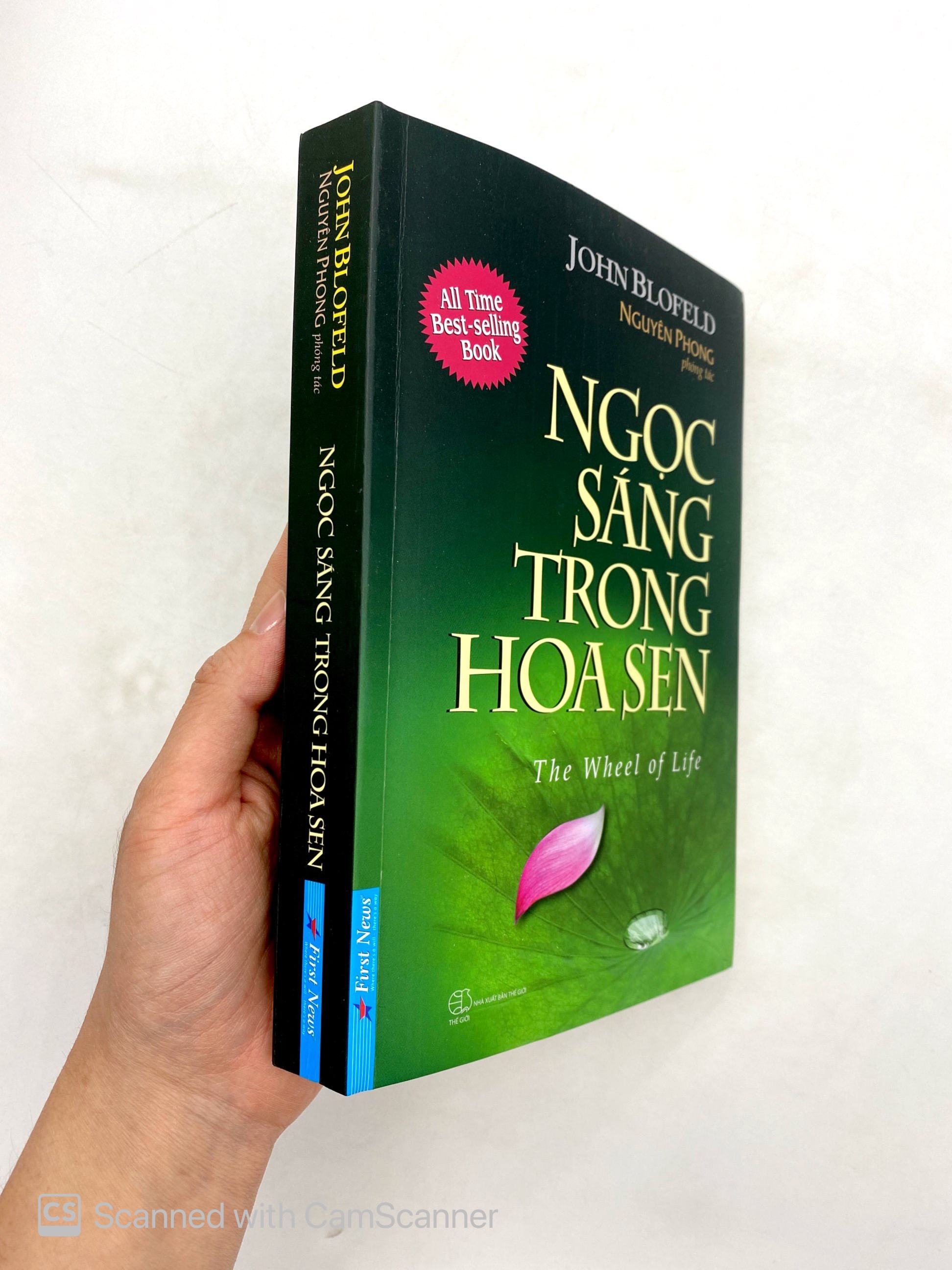 ngọc sáng trong hoa sen - the wheel of life - Ảnh 13