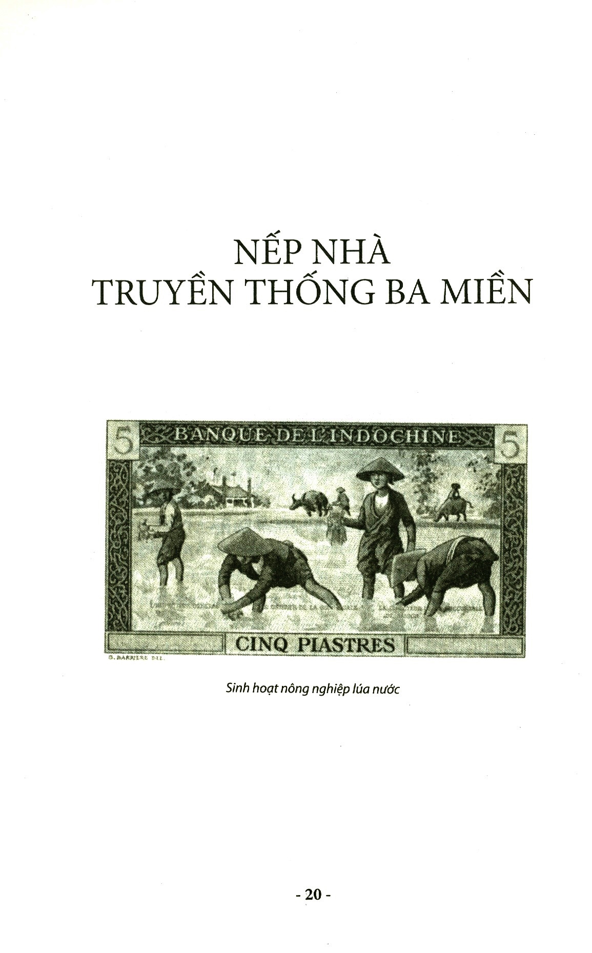 ngôi nhà việt - Ảnh 9