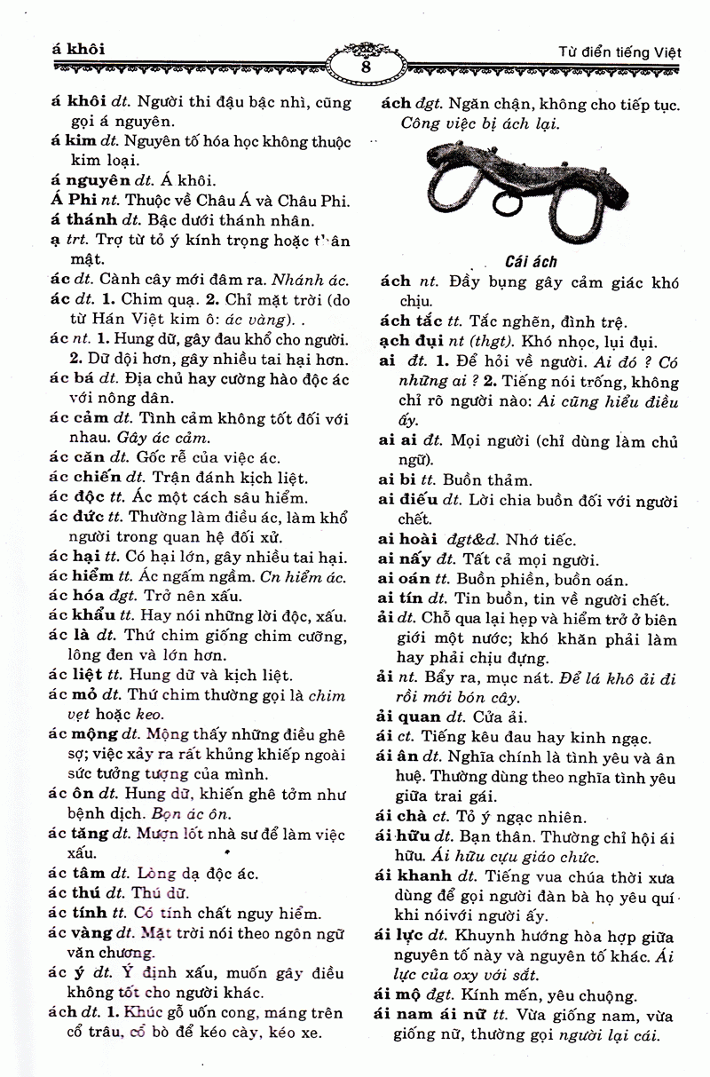 Ngôn Ngữ Việt Nam - Từ Điển Tiếng Việt - Ảnh 4