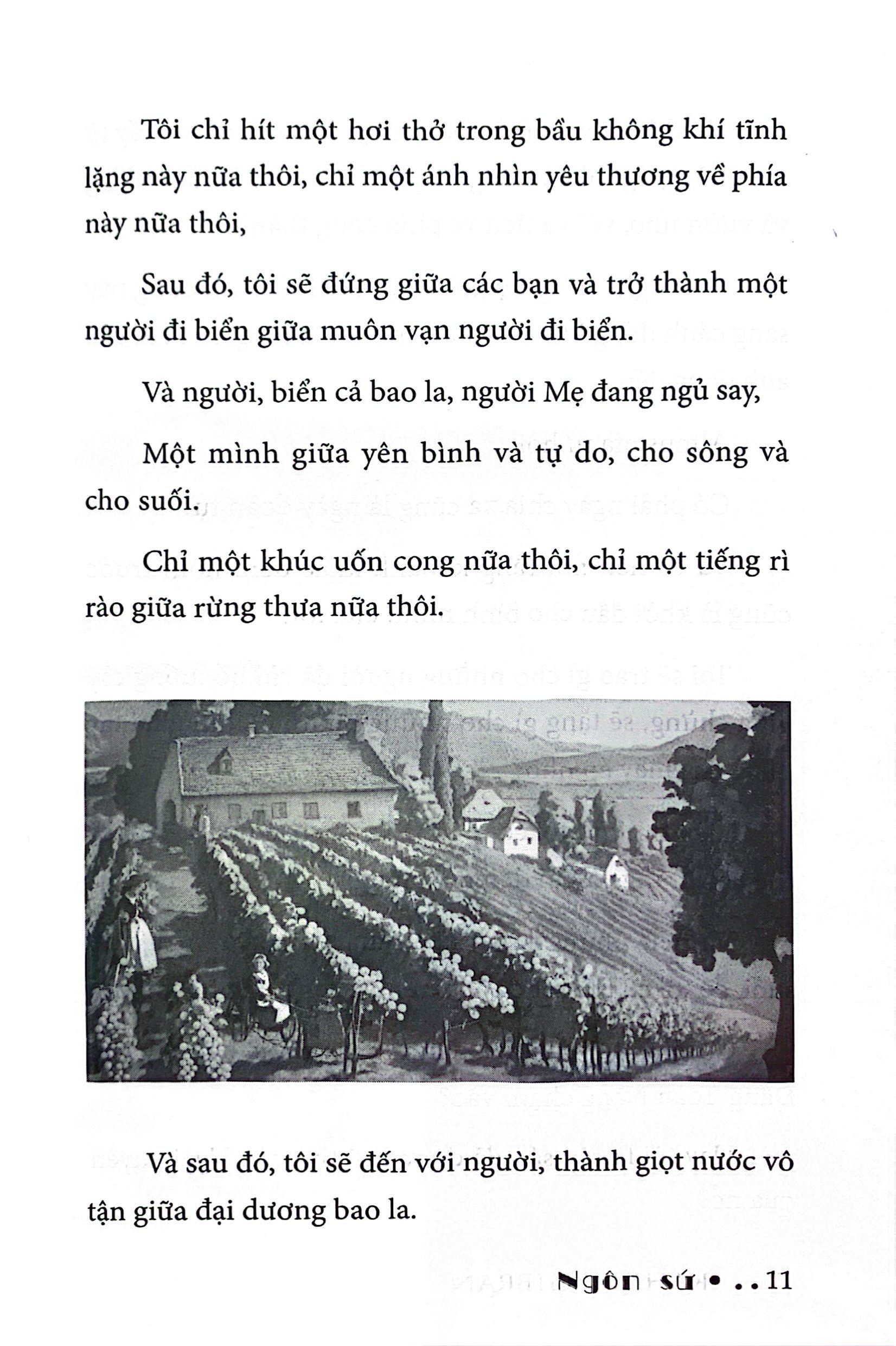 ngôn sứ - Ảnh 8