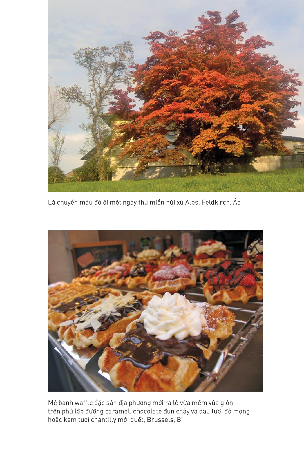 ngón tay mình còn thơm mùi oải hương - Ảnh 17