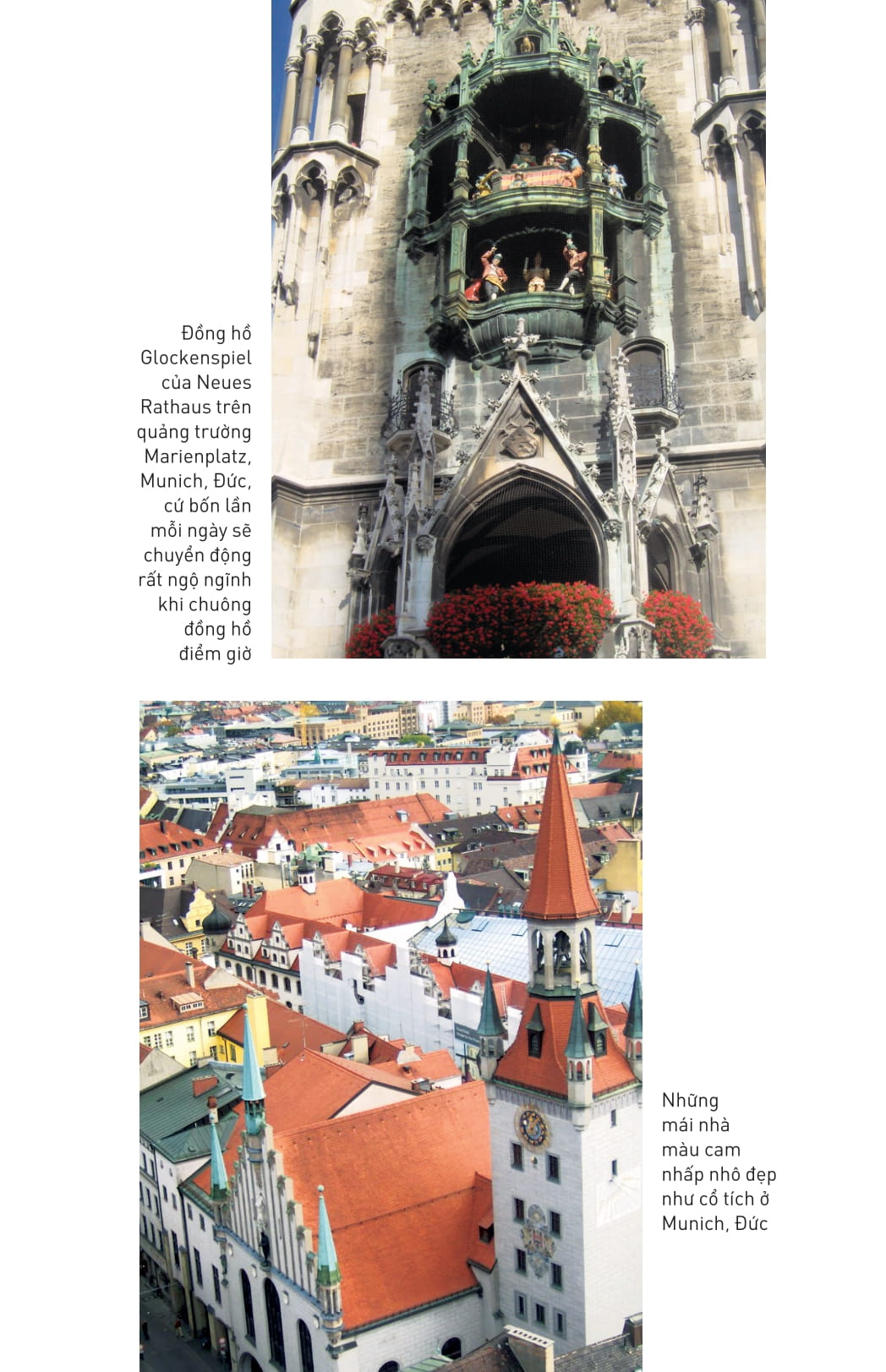 ngón tay mình còn thơm mùi oải hương - Ảnh 19