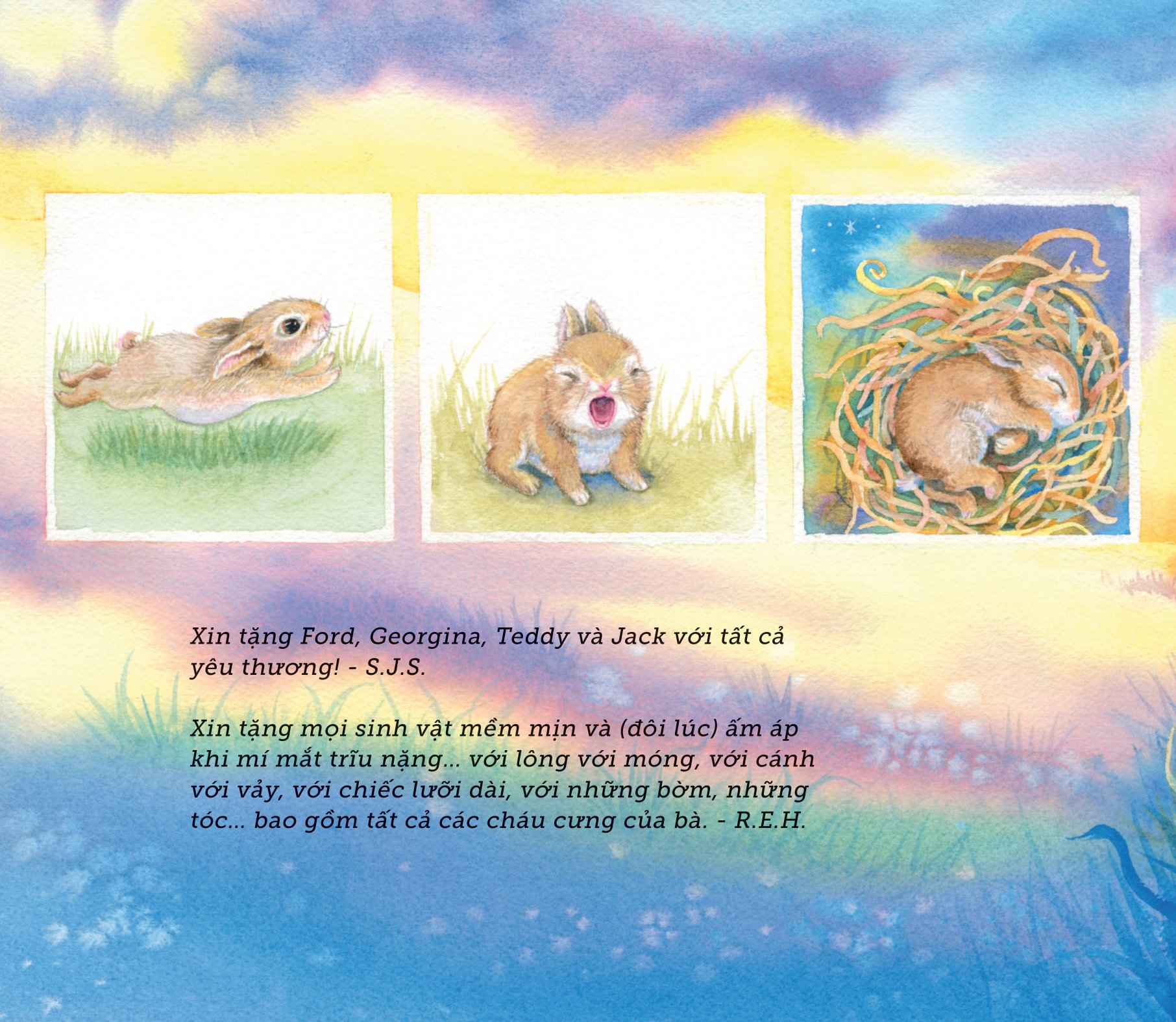 ngủ ấm ngủ êm - đêm nay loài vật ngủ nơi nào? - Ảnh 5