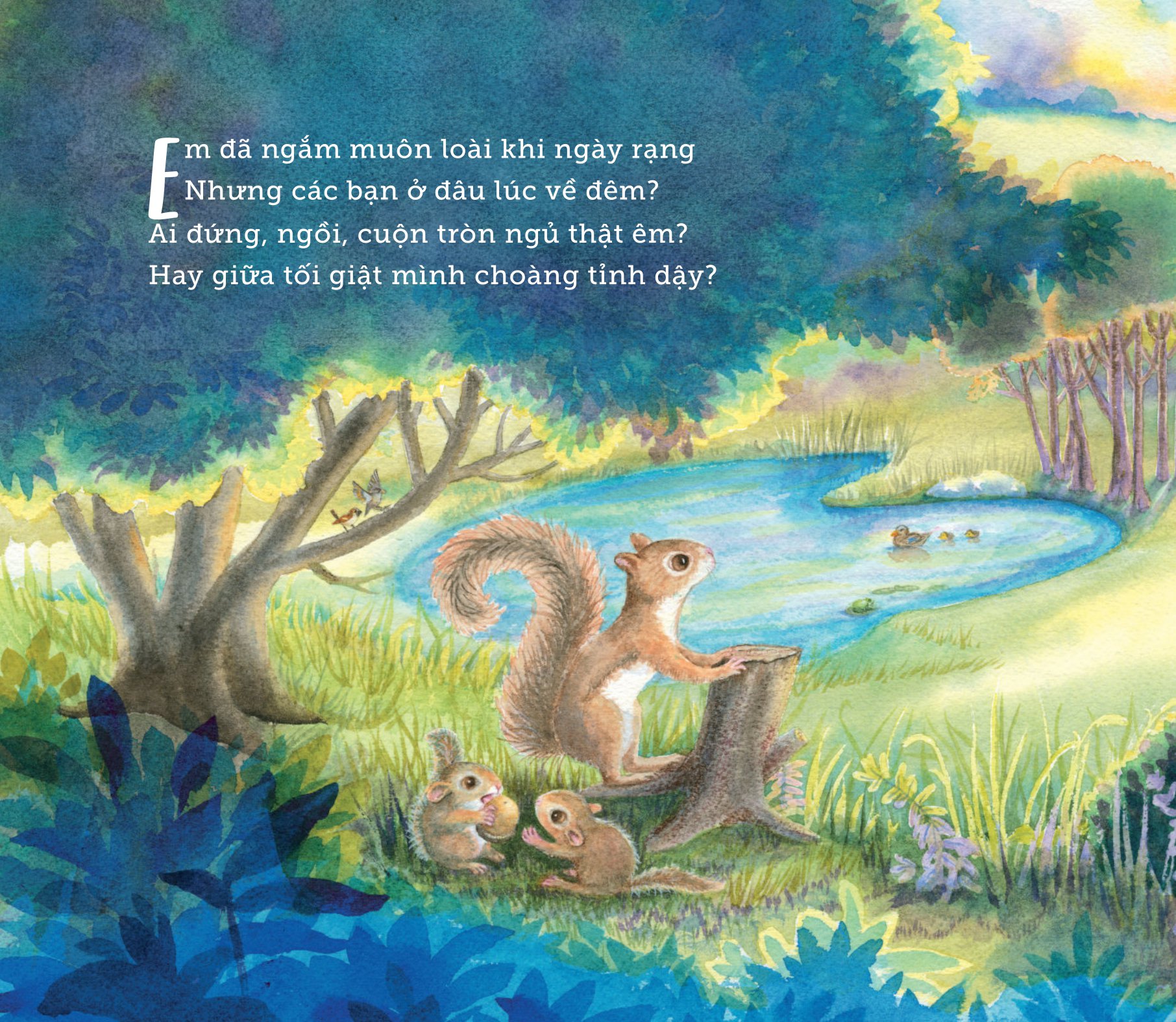 ngủ ấm ngủ êm - đêm nay loài vật ngủ nơi nào? - Ảnh 6