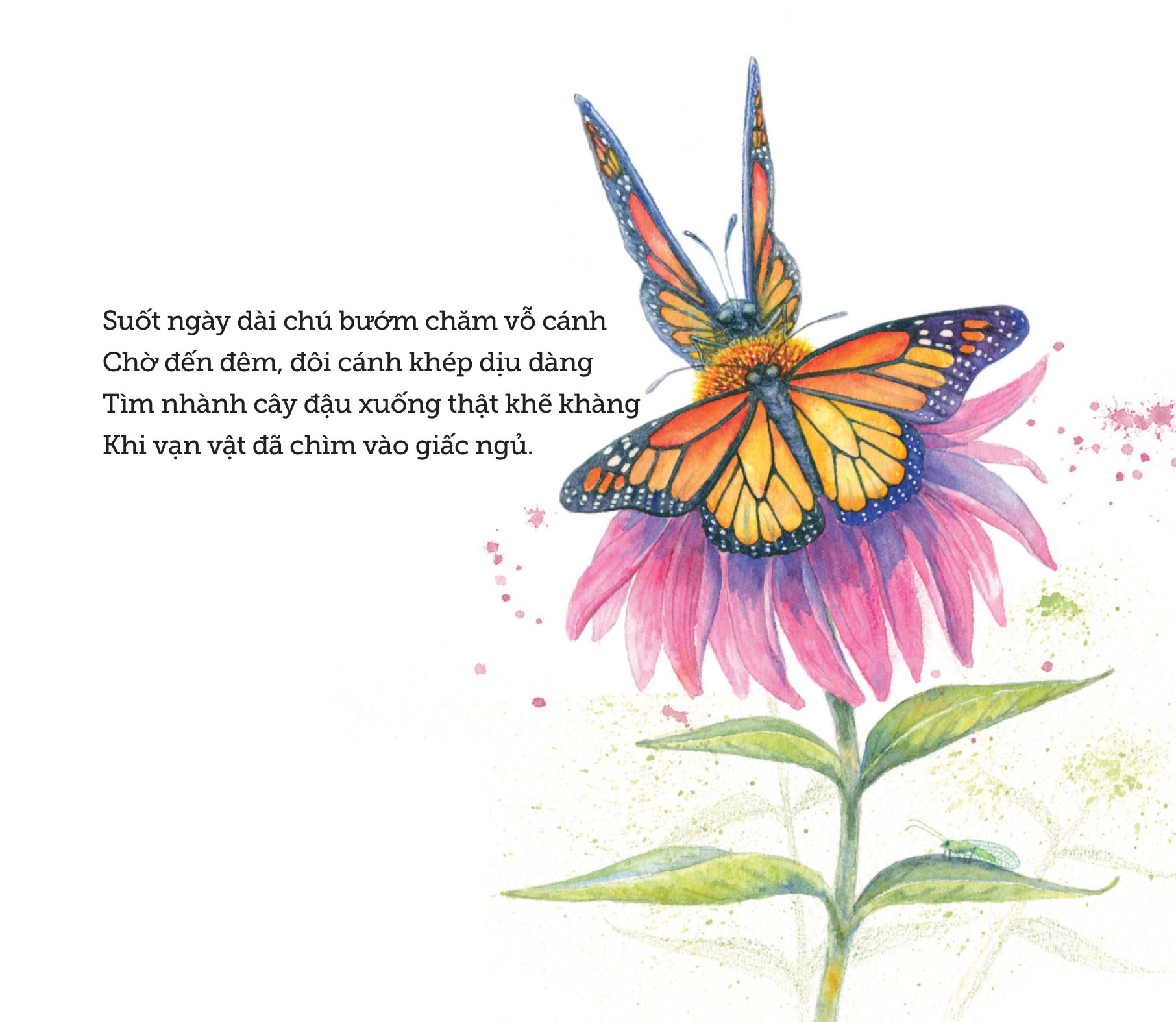 ngủ ấm ngủ êm - đêm nay loài vật ngủ nơi nào? - Ảnh 7