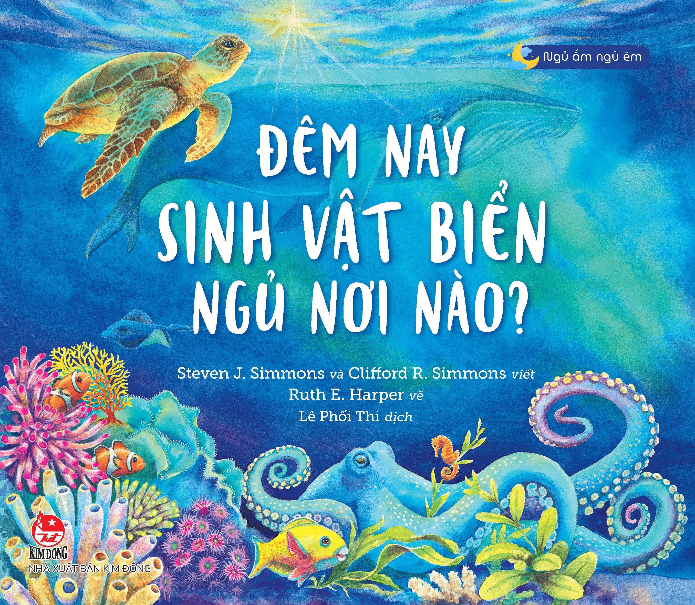 ngủ ấm ngủ êm - đêm nay sinh vật biển ngủ nơi nào? - Ảnh 2