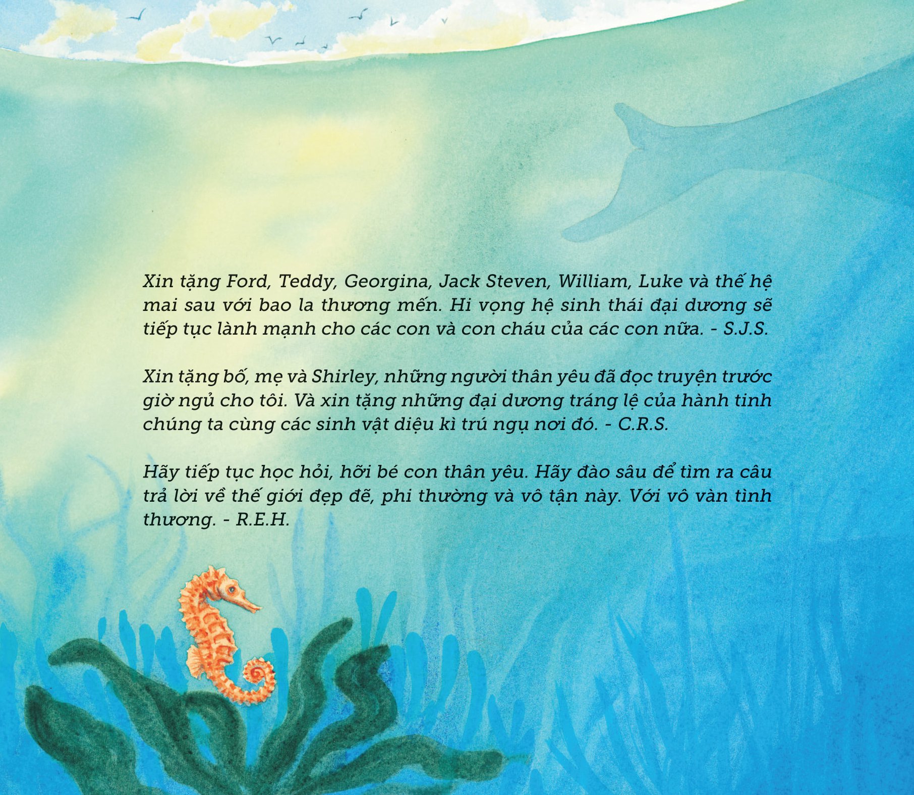 ngủ ấm ngủ êm - đêm nay sinh vật biển ngủ nơi nào? - Ảnh 5