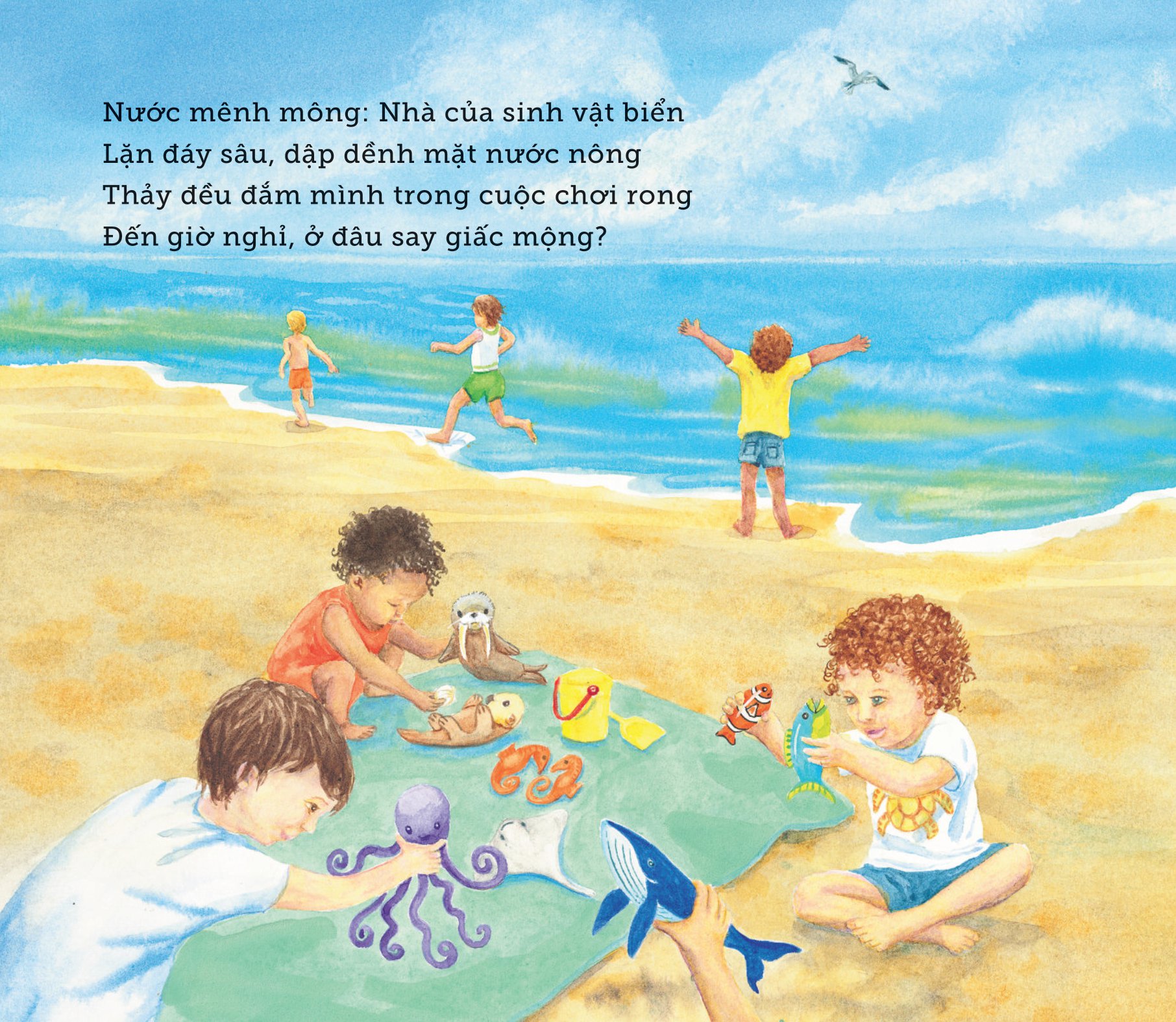 ngủ ấm ngủ êm - đêm nay sinh vật biển ngủ nơi nào? - Ảnh 6