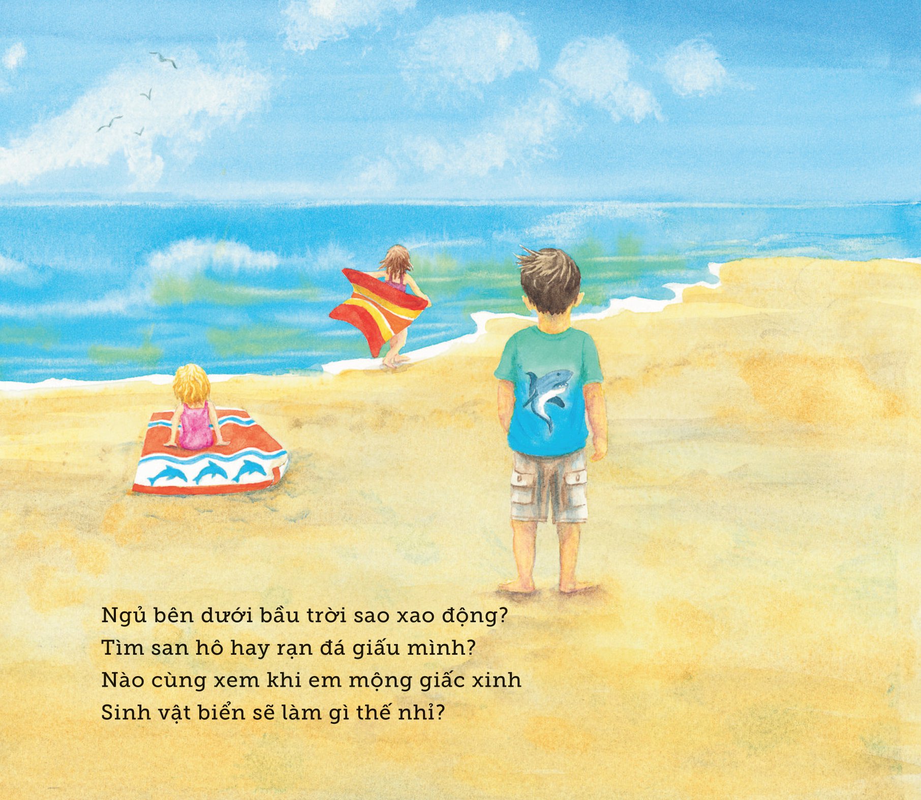 ngủ ấm ngủ êm - đêm nay sinh vật biển ngủ nơi nào? - Ảnh 7