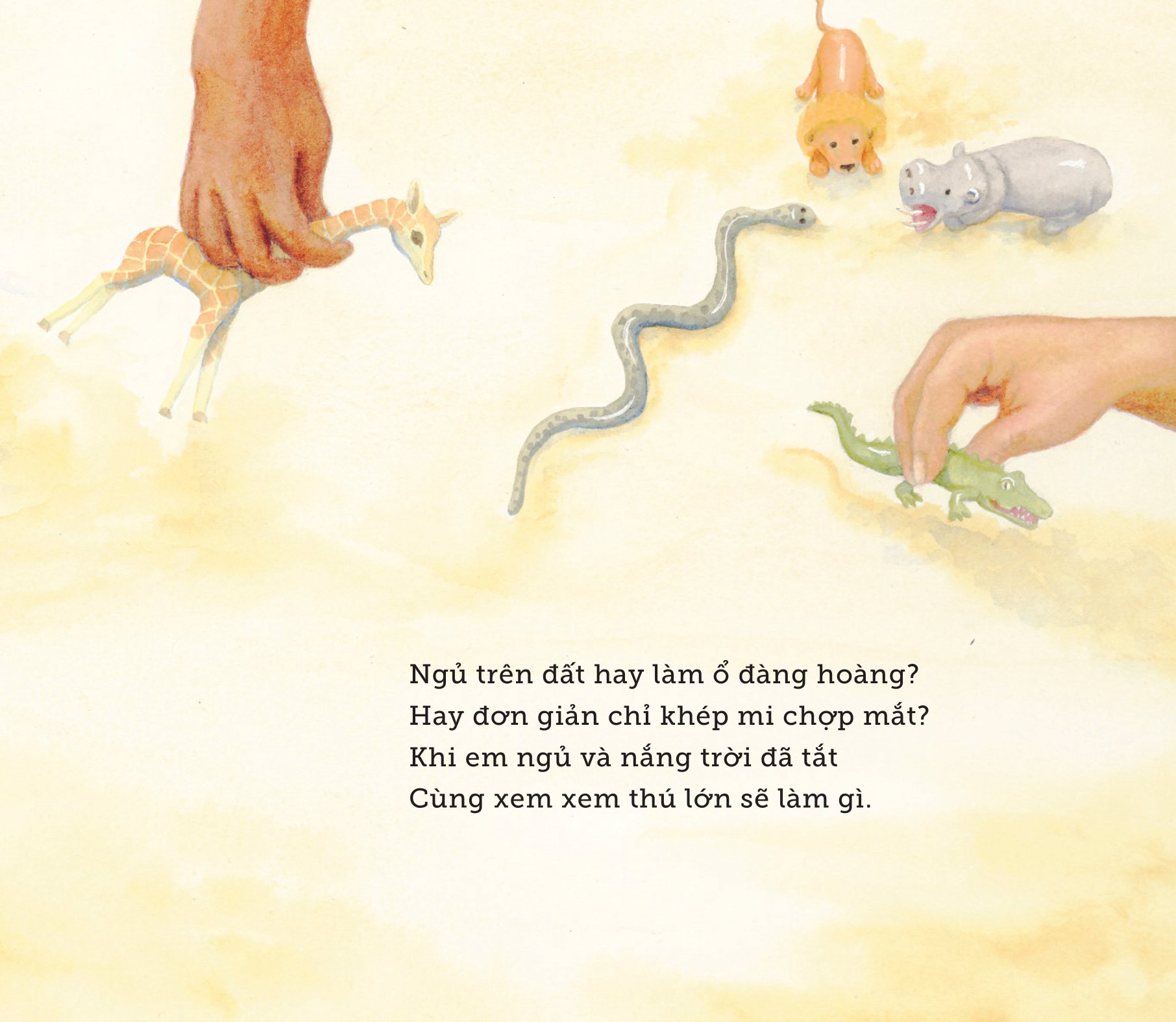 ngủ ấm ngủ êm - đêm nay thú lớn ngủ nơi nào? - Ảnh 7