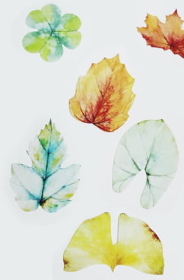 ngủ ngon, hẹn mai nhé - Ảnh 2