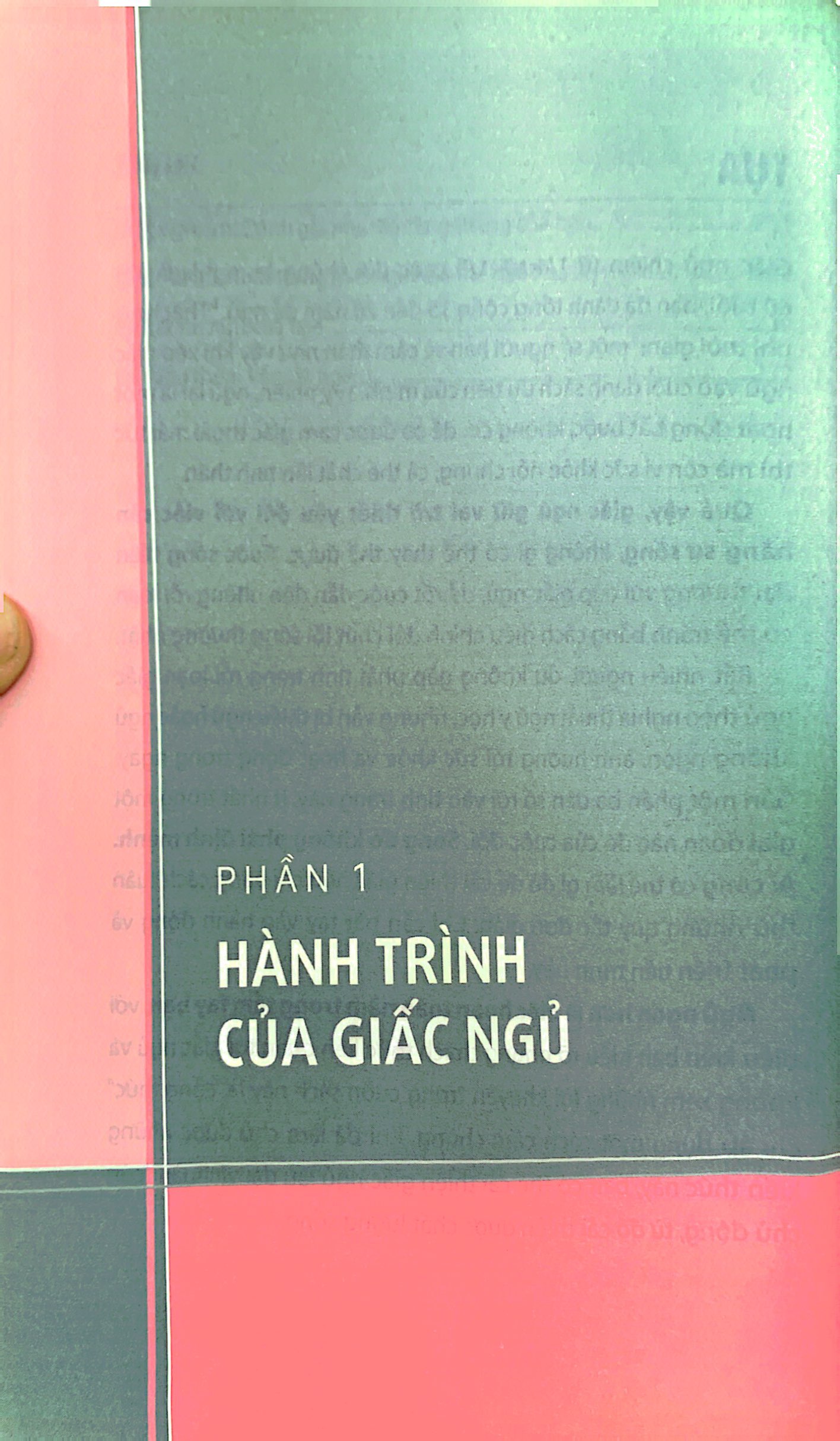 ngủ ngon mỗi đêm, sống khỏe mỗi ngày - bí mật phía sau một giấc ngủ chất lượng - Ảnh 4