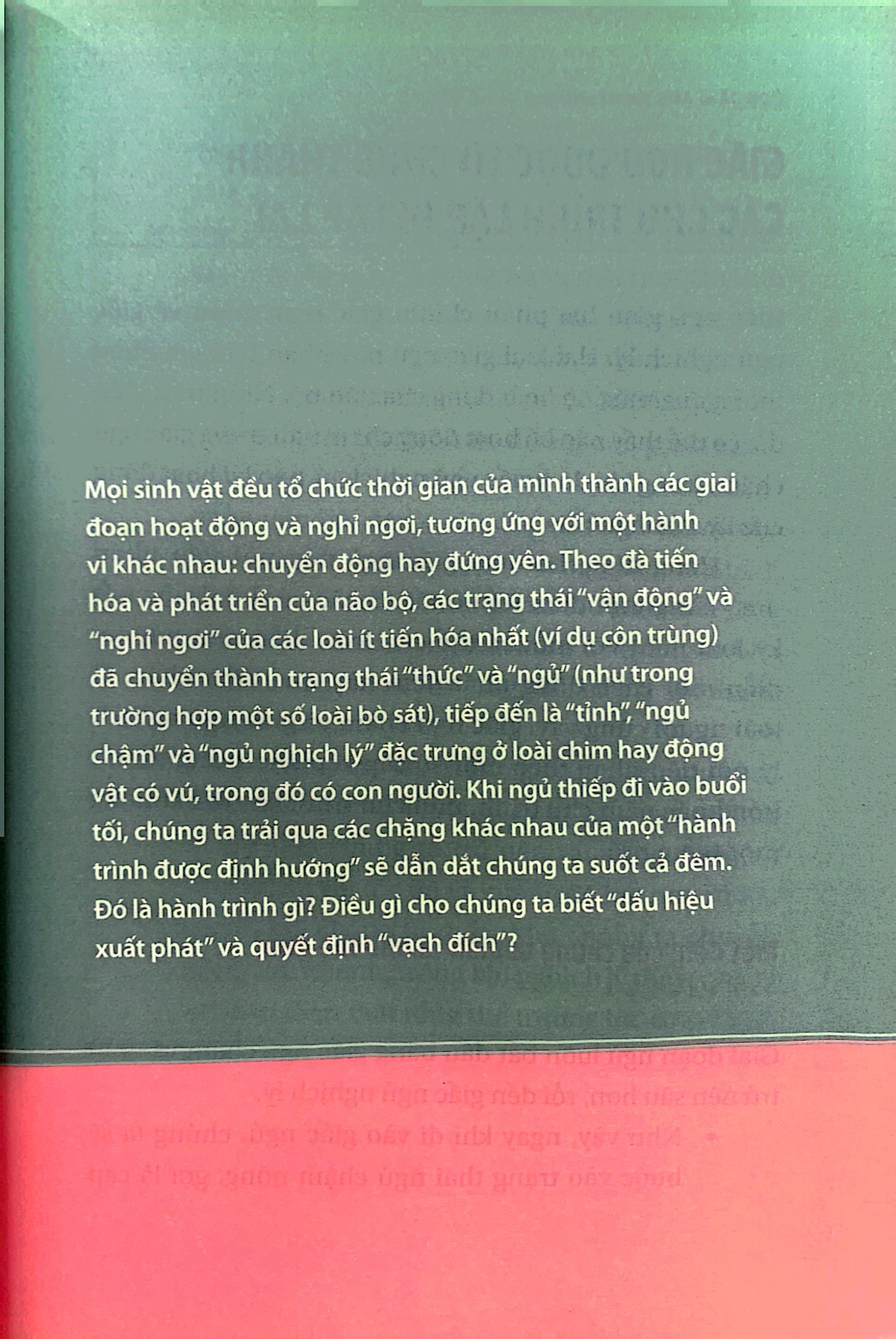 ngủ ngon mỗi đêm, sống khỏe mỗi ngày - bí mật phía sau một giấc ngủ chất lượng - Ảnh 5