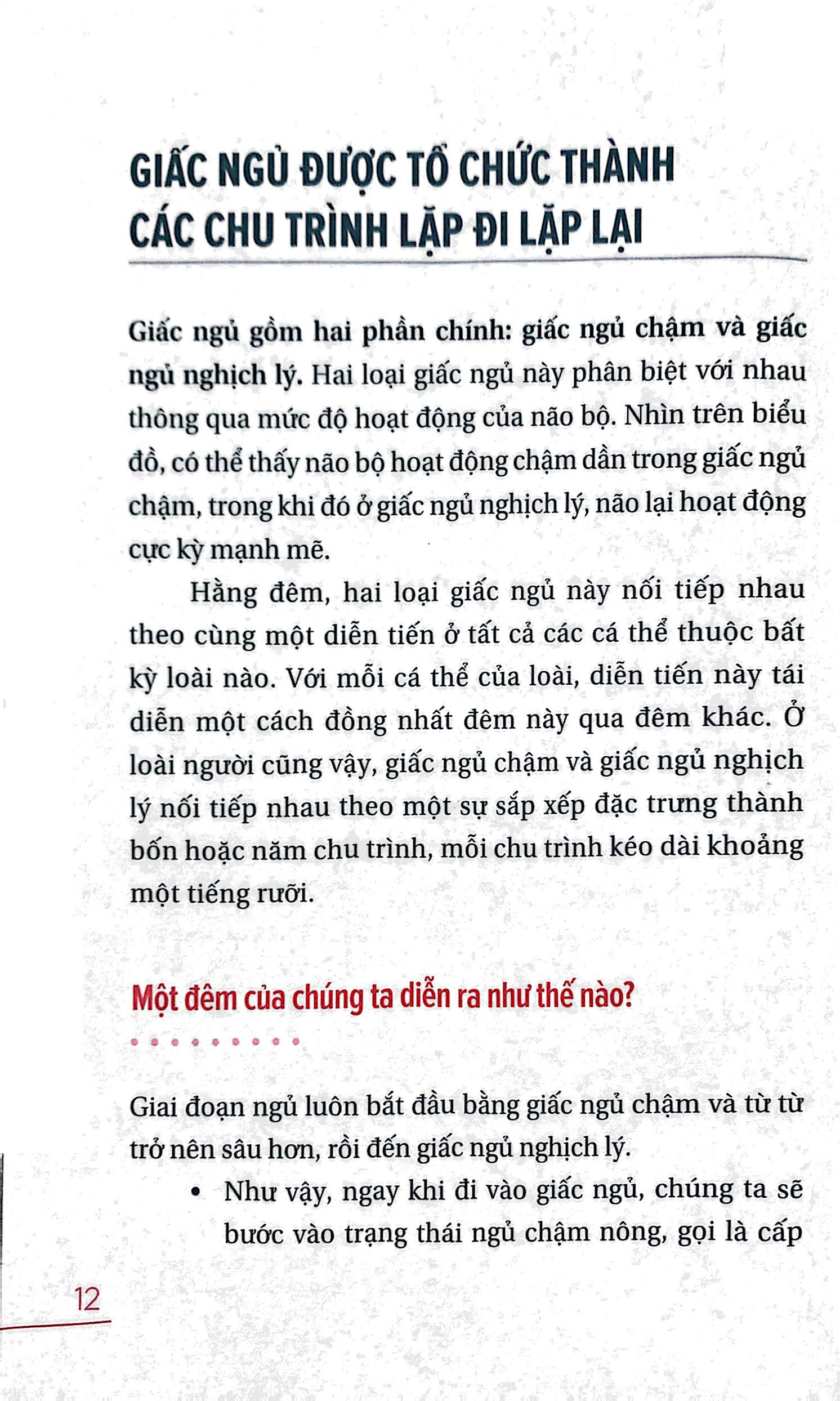 ngủ ngon mỗi đêm, sống khỏe mỗi ngày - bí mật phía sau một giấc ngủ chất lượng - Ảnh 6