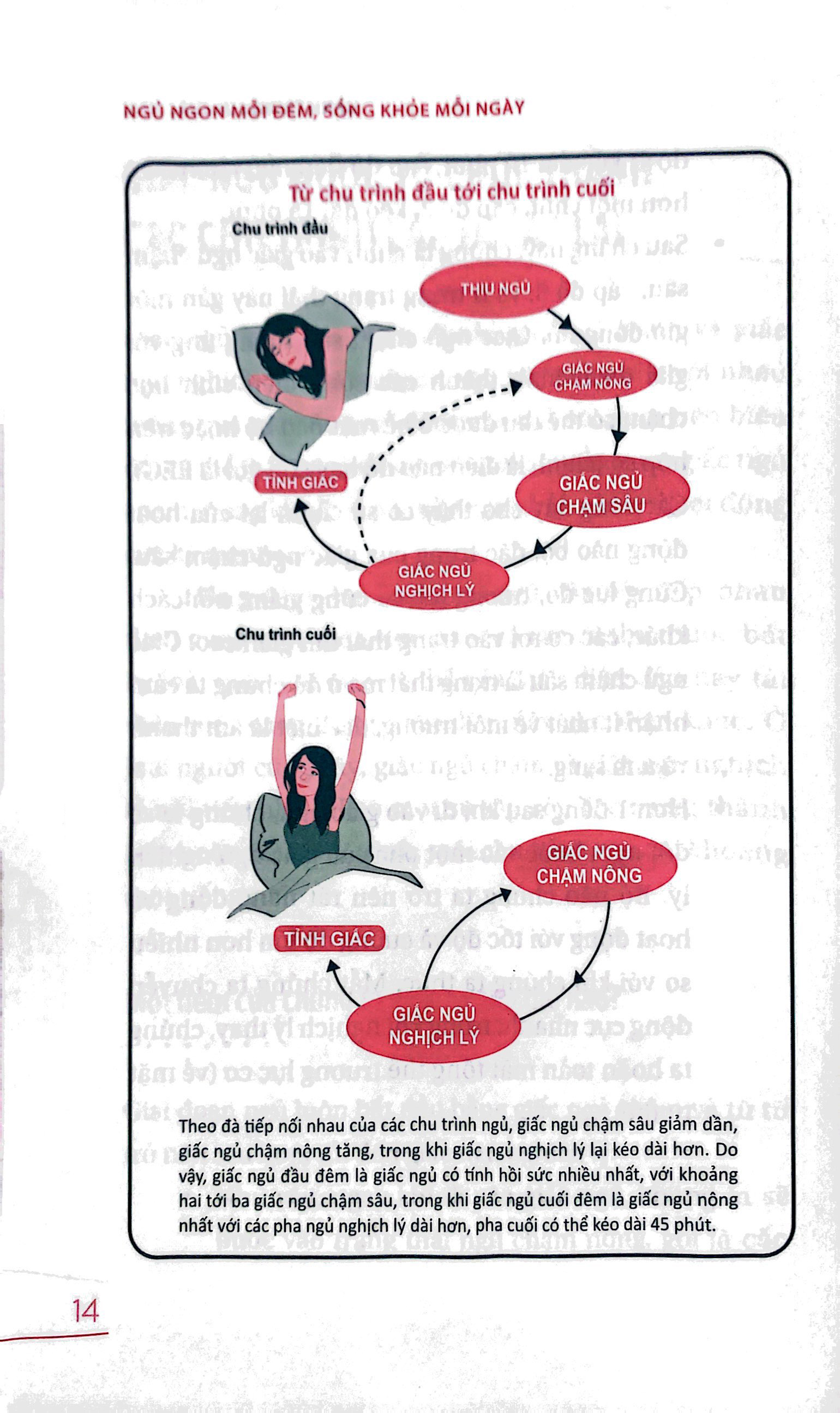 ngủ ngon mỗi đêm, sống khỏe mỗi ngày - bí mật phía sau một giấc ngủ chất lượng - Ảnh 8