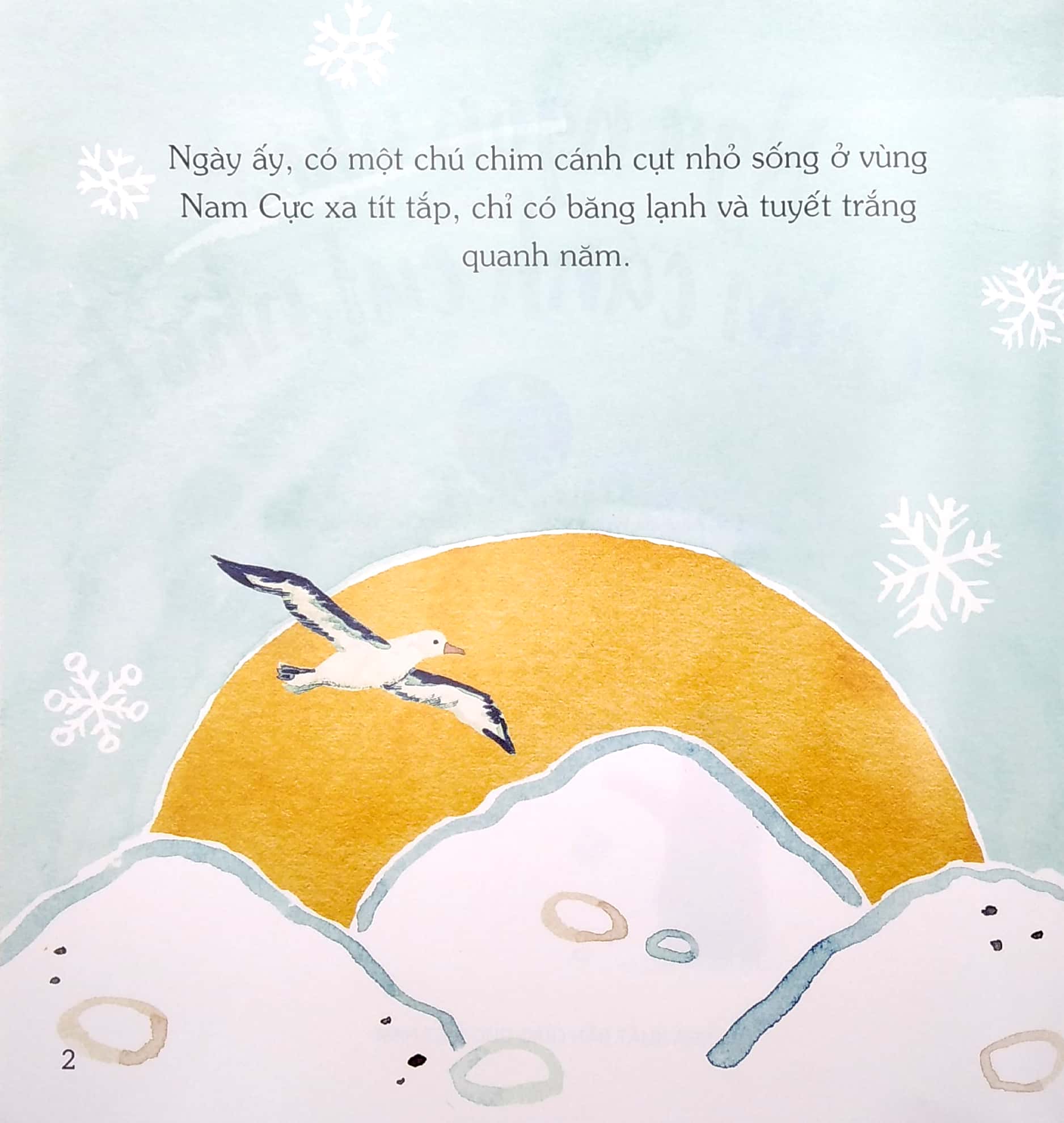 ngủ ngon nhé, chim cánh cụt nhỏ! - Ảnh 3