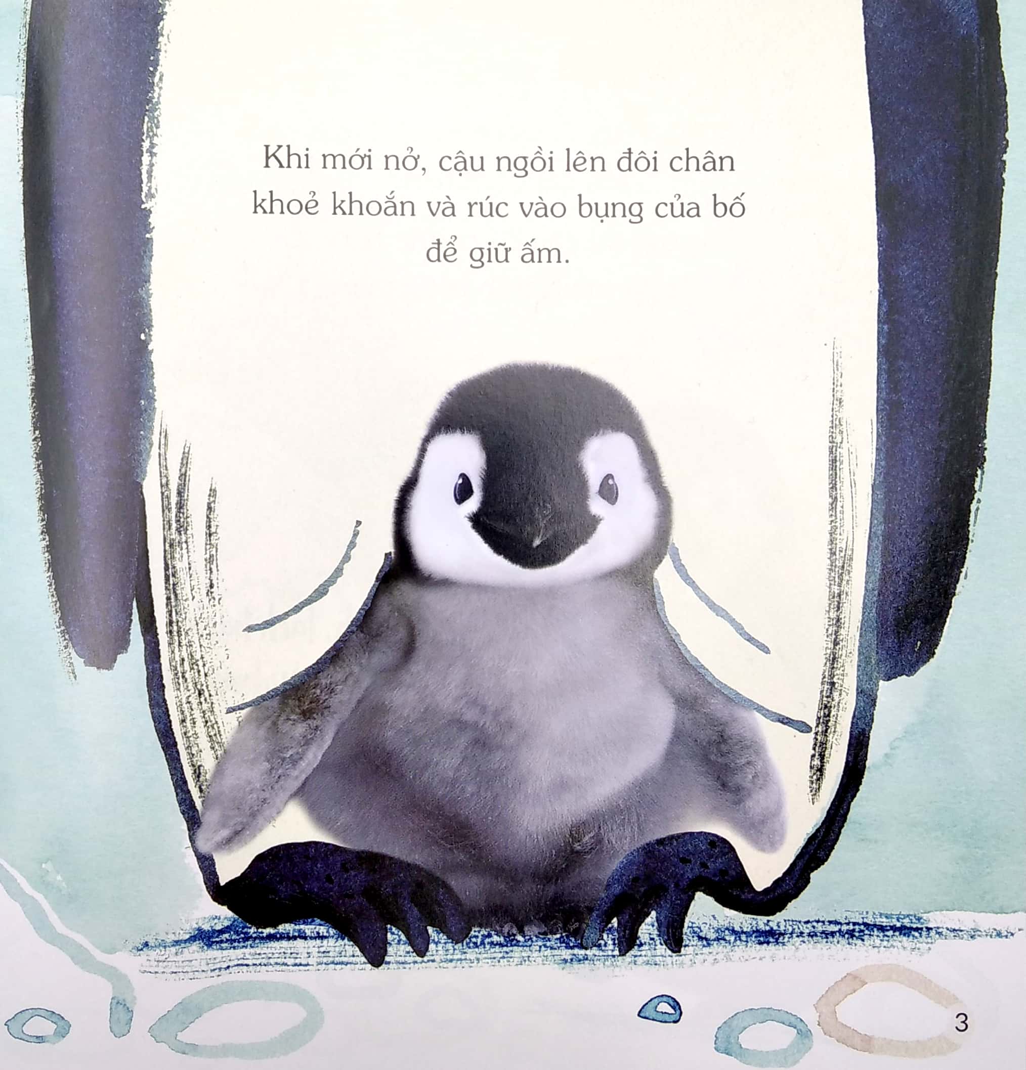 ngủ ngon nhé, chim cánh cụt nhỏ! - Ảnh 4