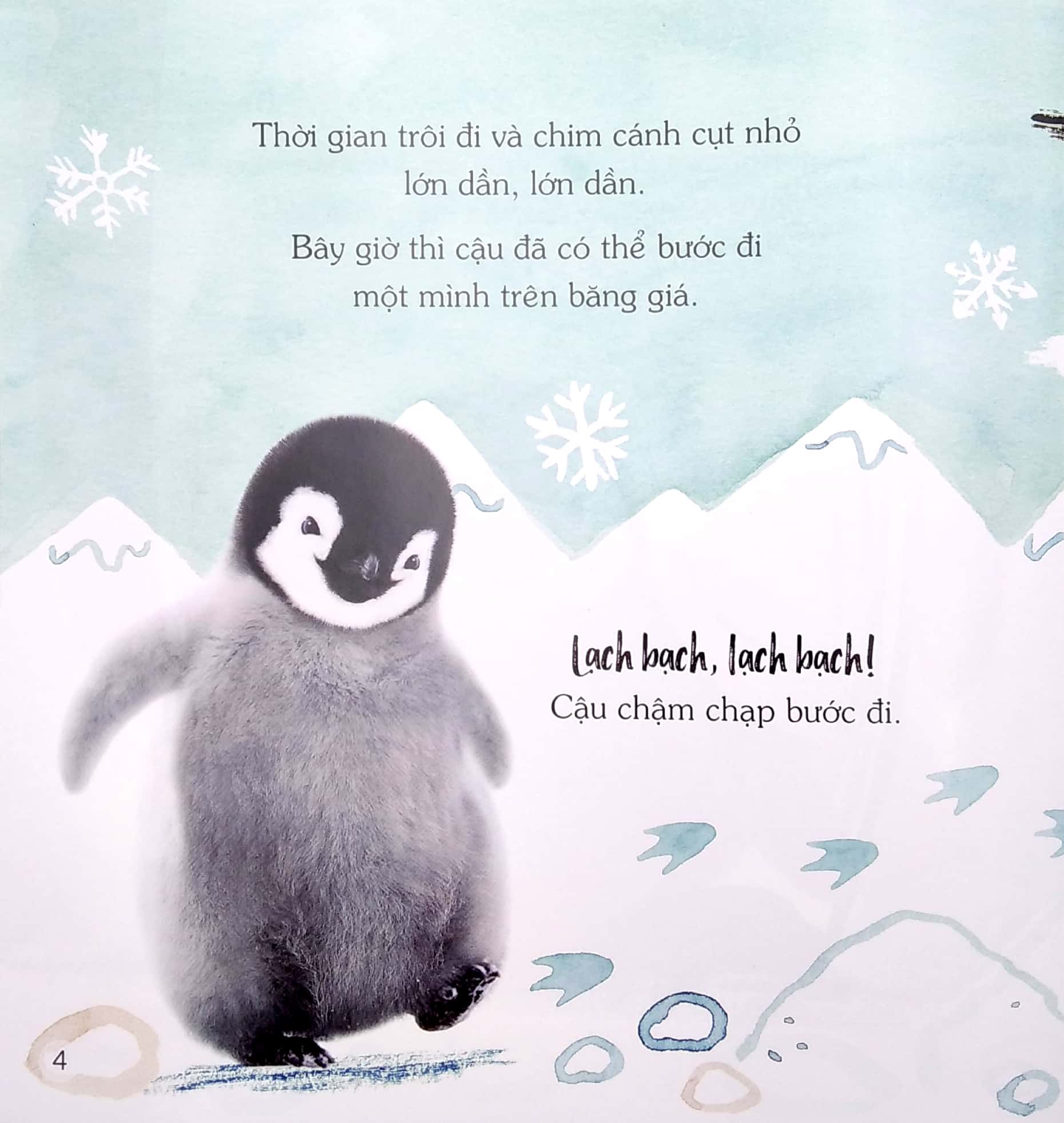 ngủ ngon nhé, chim cánh cụt nhỏ! - Ảnh 5