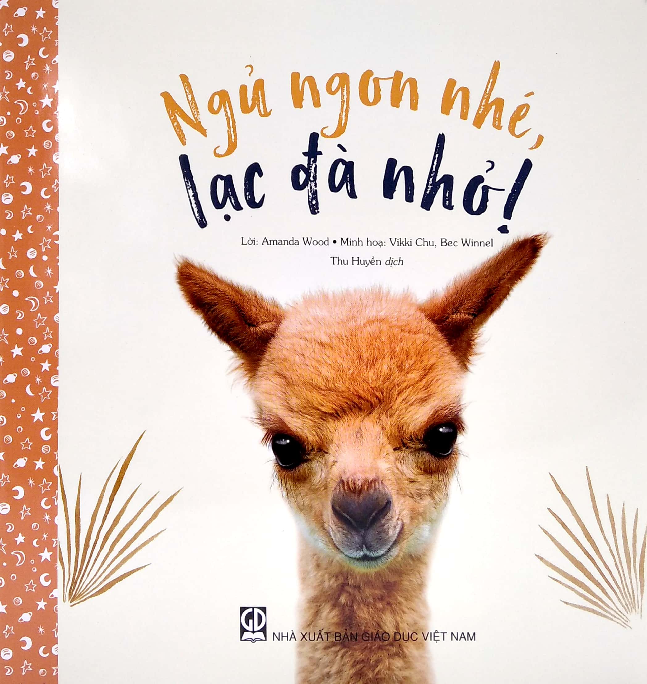 ngủ ngon nhé, lạc đà nhỏ! - Ảnh 2