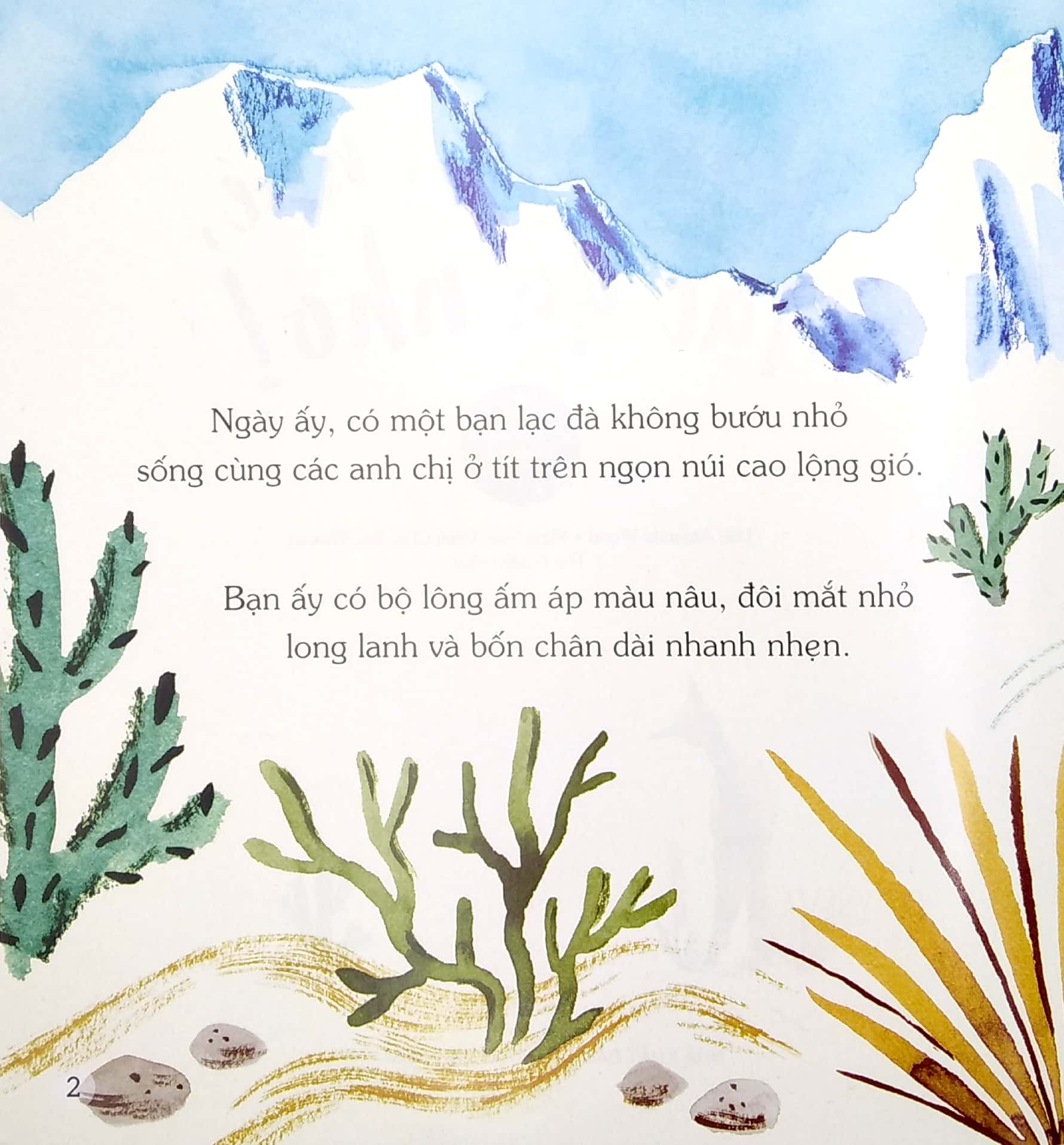 ngủ ngon nhé, lạc đà nhỏ! - Ảnh 3