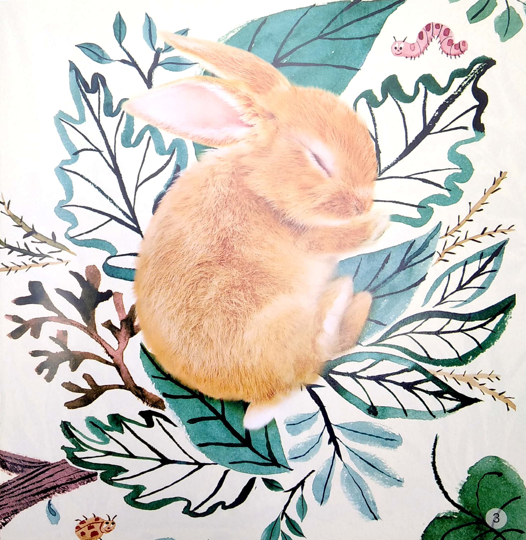 ngủ ngon nhé, thỏ con! - Ảnh 4