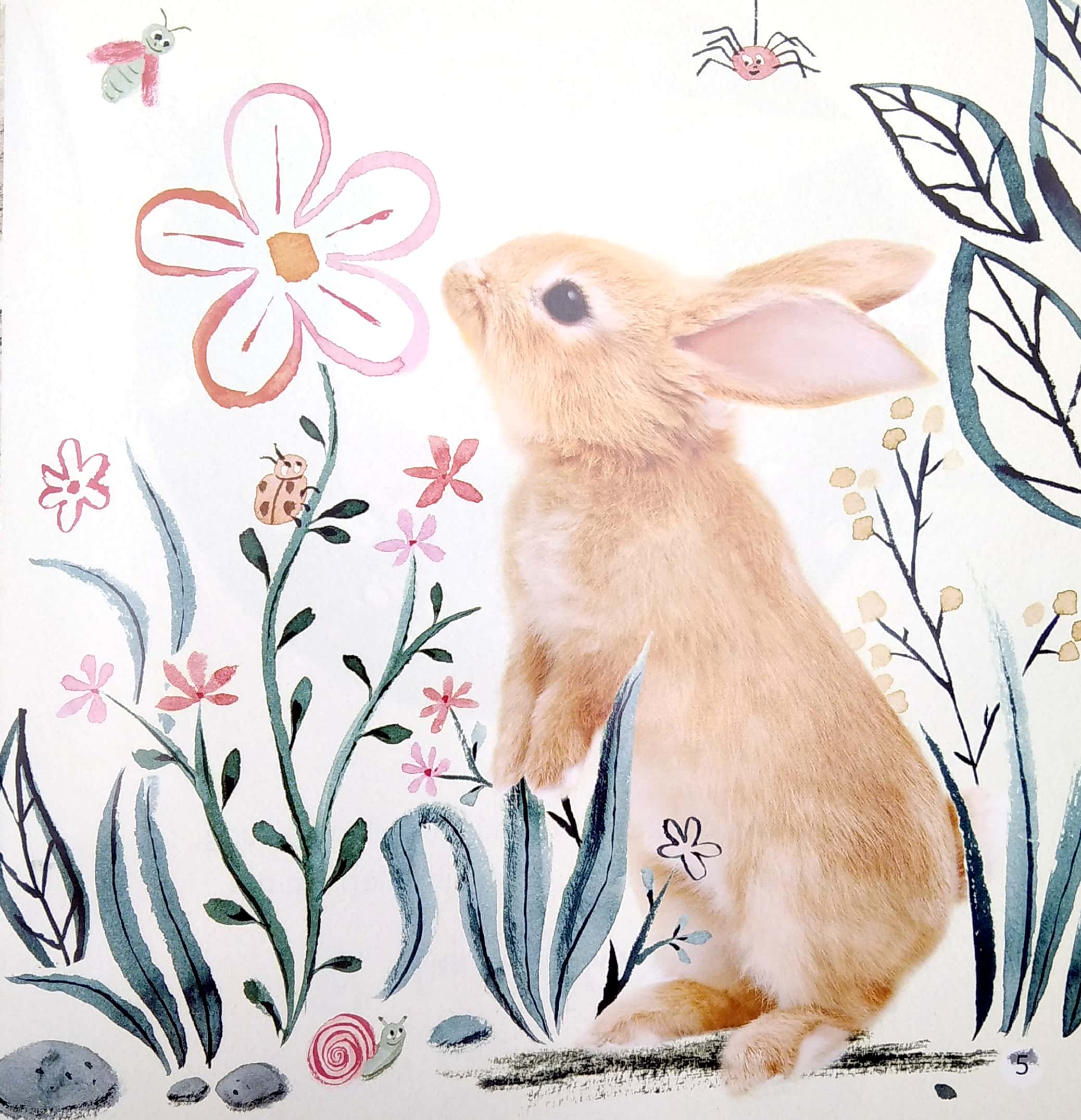 ngủ ngon nhé, thỏ con! - Ảnh 6