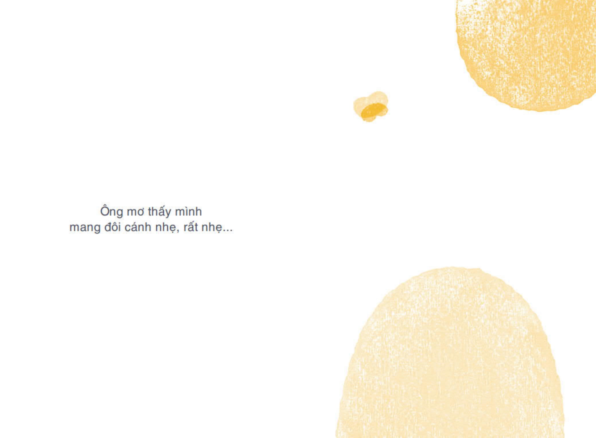 ngụ ngôn triết học - con bướm của trang tử - Ảnh 6