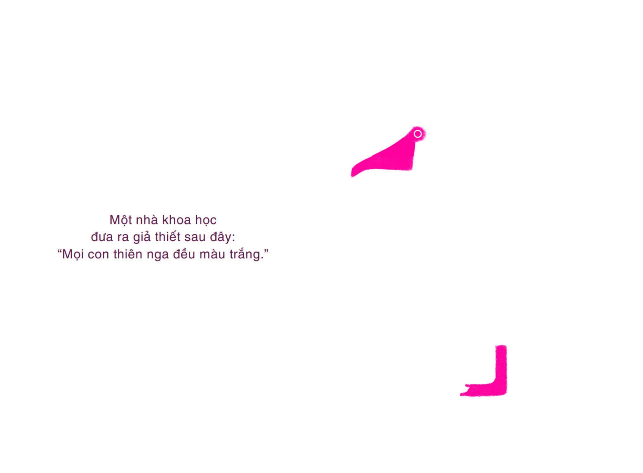 ngụ ngôn triết học - con thiên nga của popper - Ảnh 6