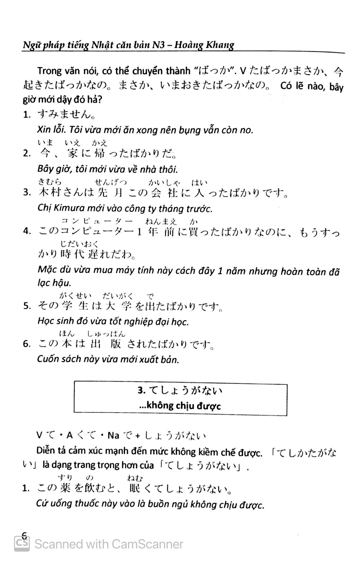 ngữ pháp tiếng nhật căn bản n3 - Ảnh 5