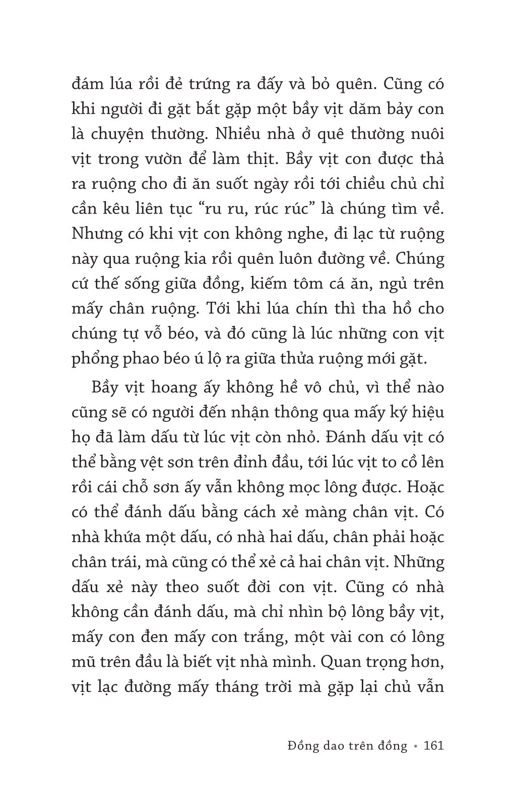 Ngũ Sắc Vạn Hoa - Ảnh 7
