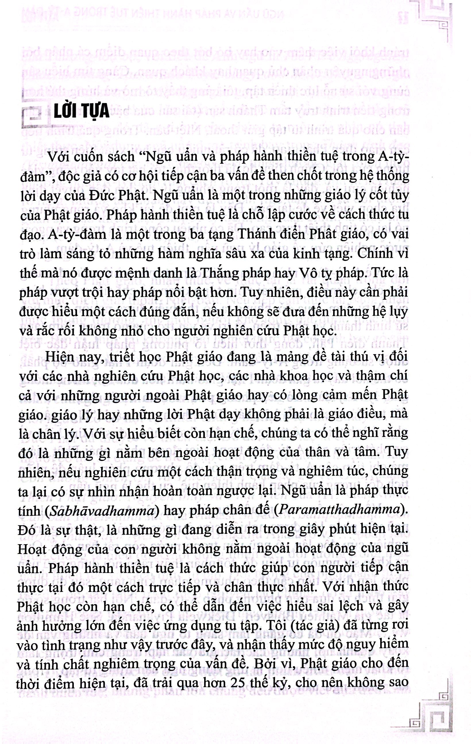 ngũ uẩn và pháp hành thiền tuệ trong a-tỳ-đàm - Ảnh 3